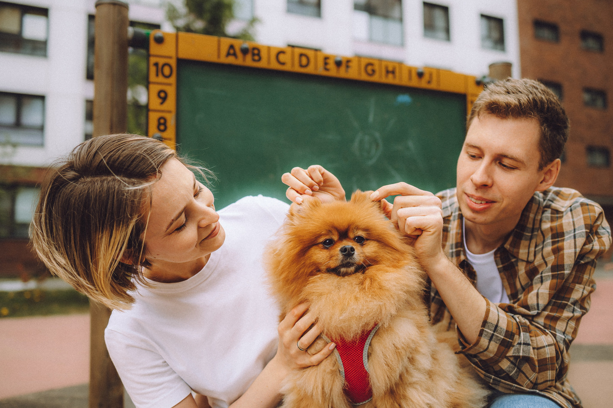 Лорик и его семья