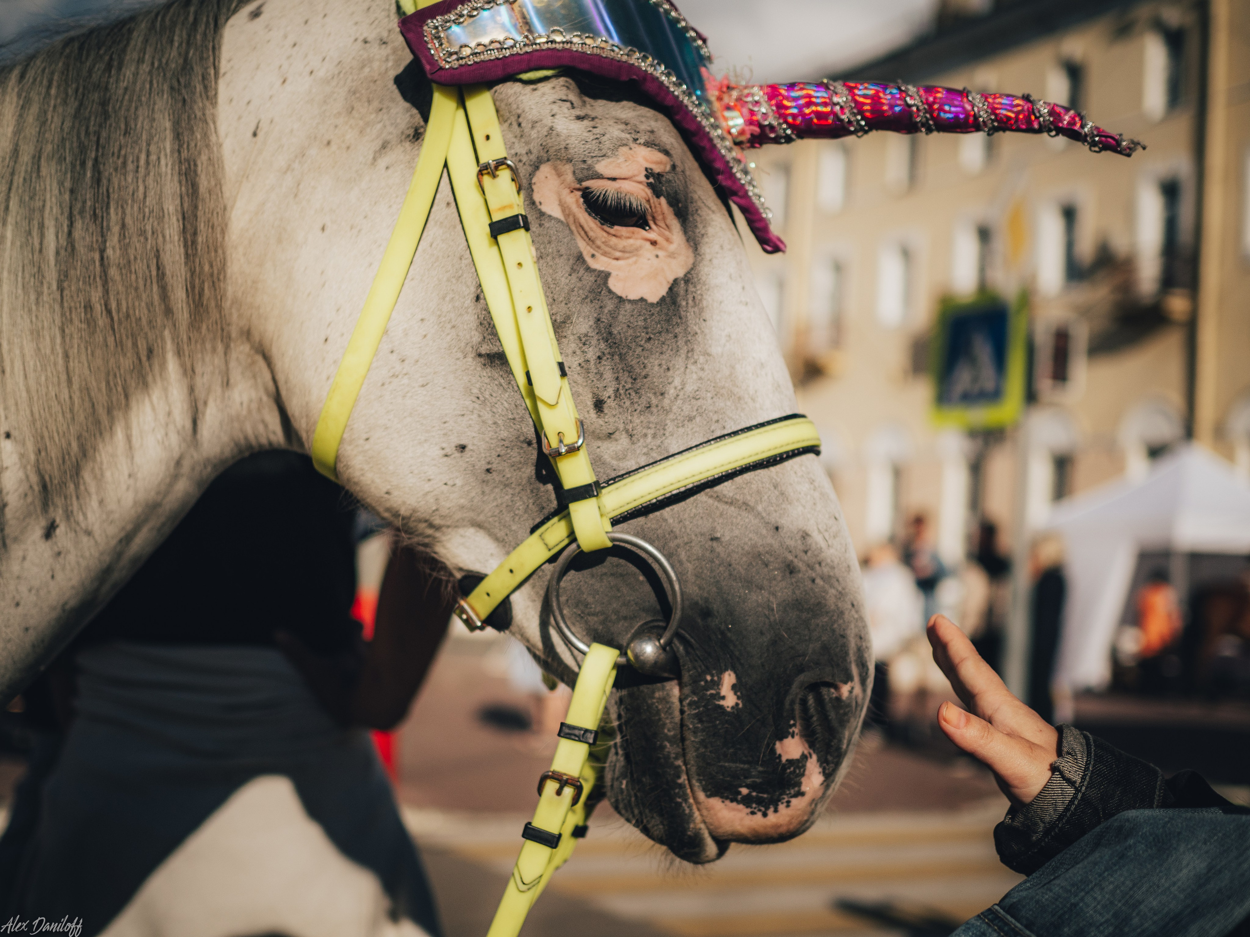 День города. Муром. 2024. Муром-Инфо. Новости культуры, образования, спорта в городе Муром