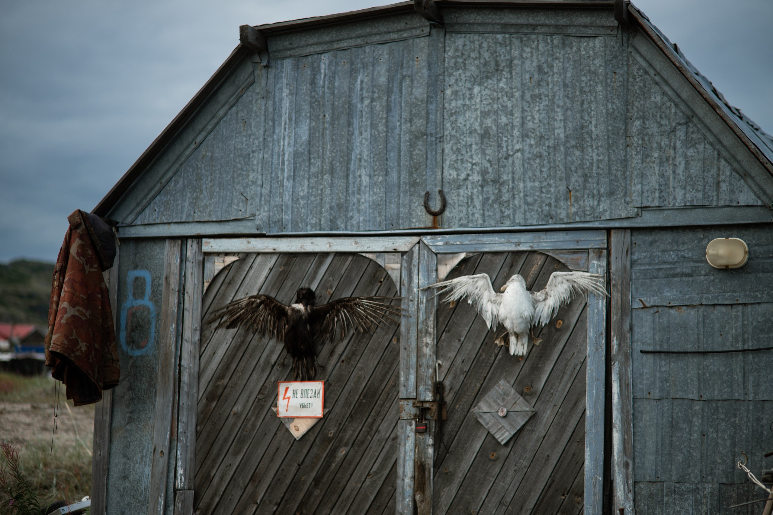 Мурманск. Фотограф Сергей Красильников