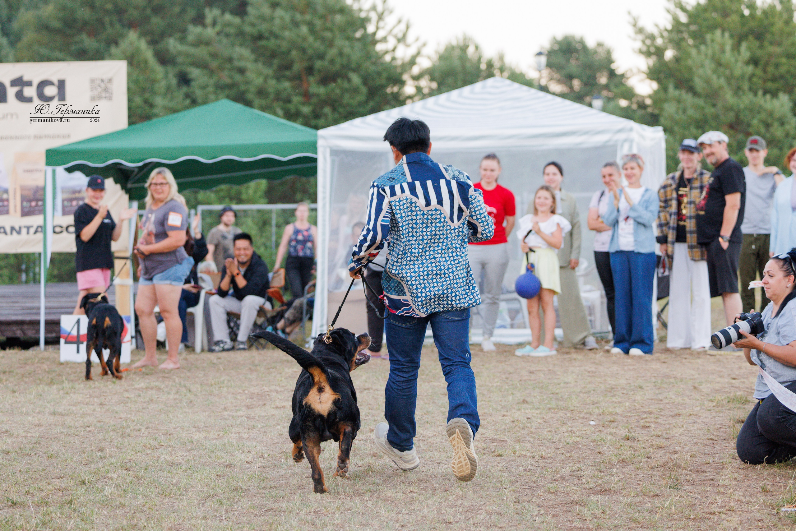 ПК и КЧК ротвейлеры Тверь 6-7.07.2024. Фотограф-анималист Юлия Германика