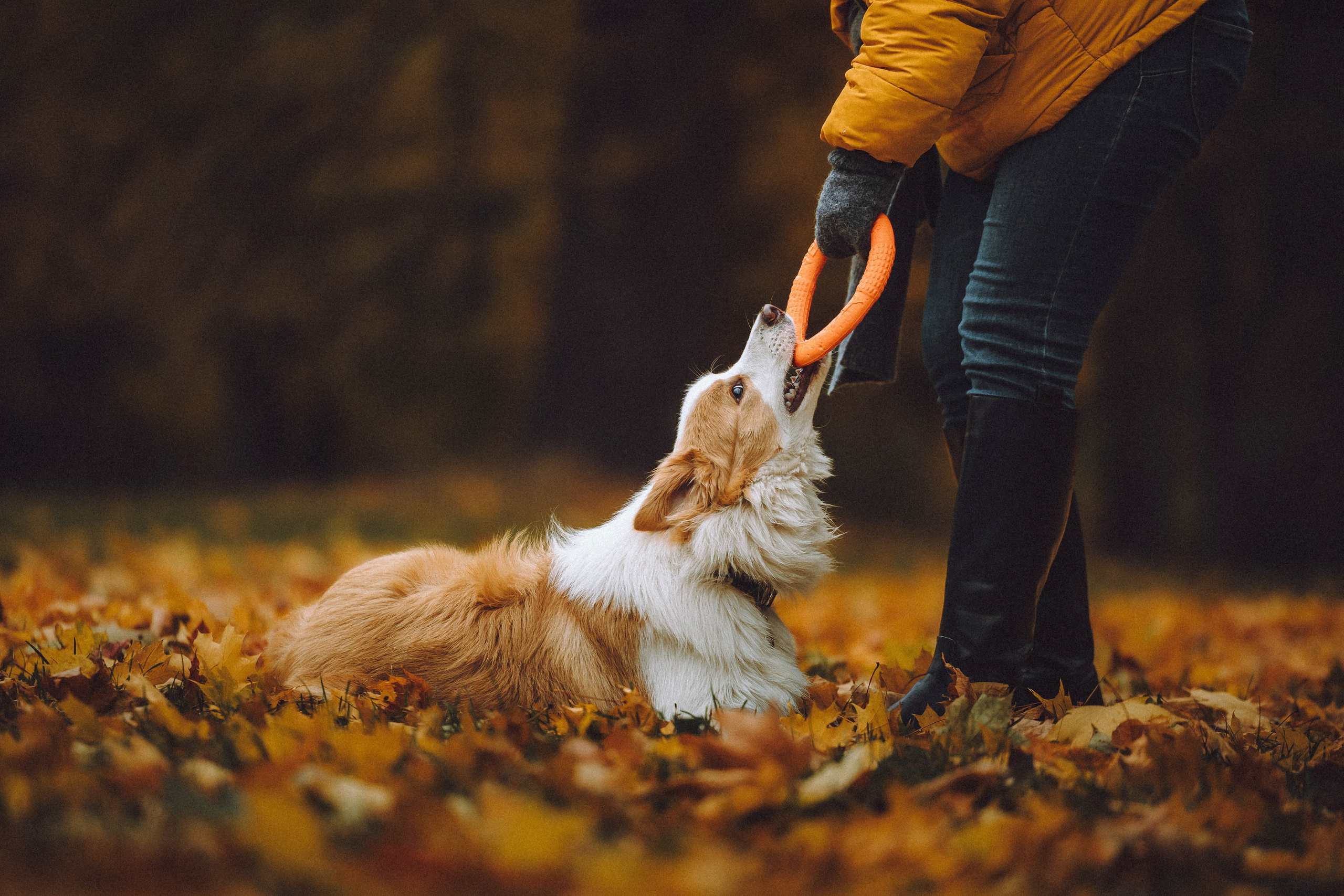 Алина, Витя и Асти