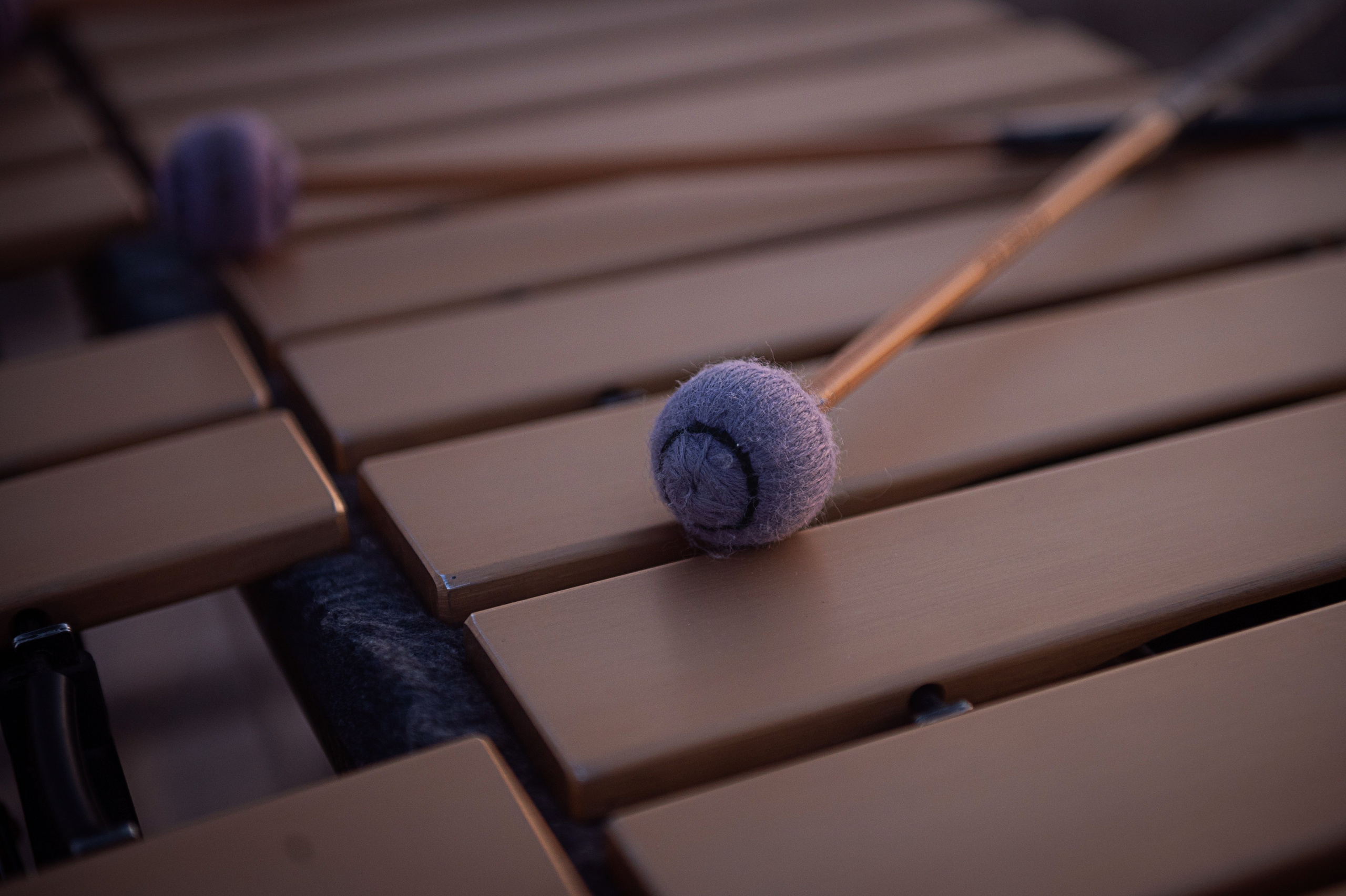 КОНТЕНТ. Фотограф Вера Демидкова