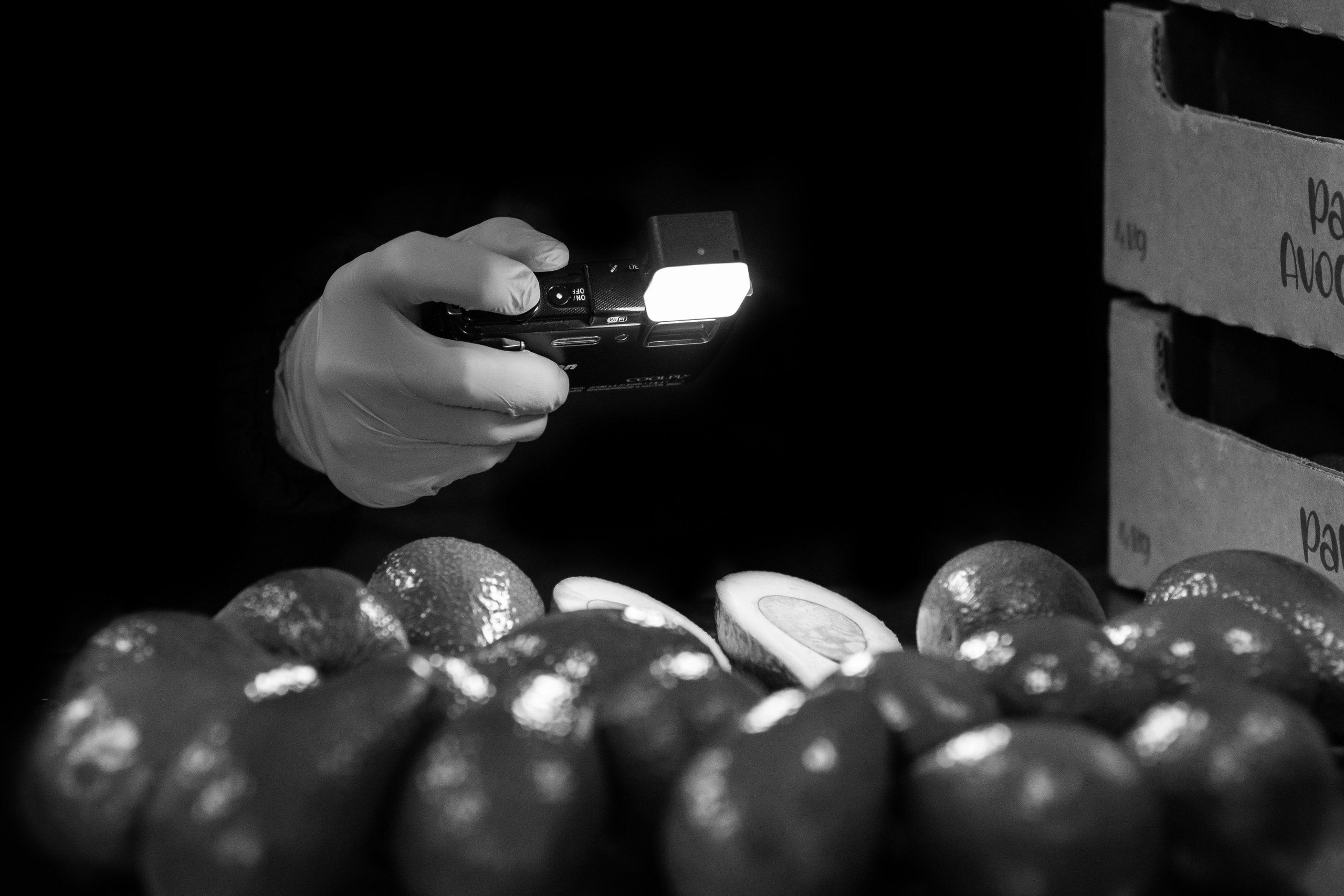 Inspection des fruits et légumes en Russie