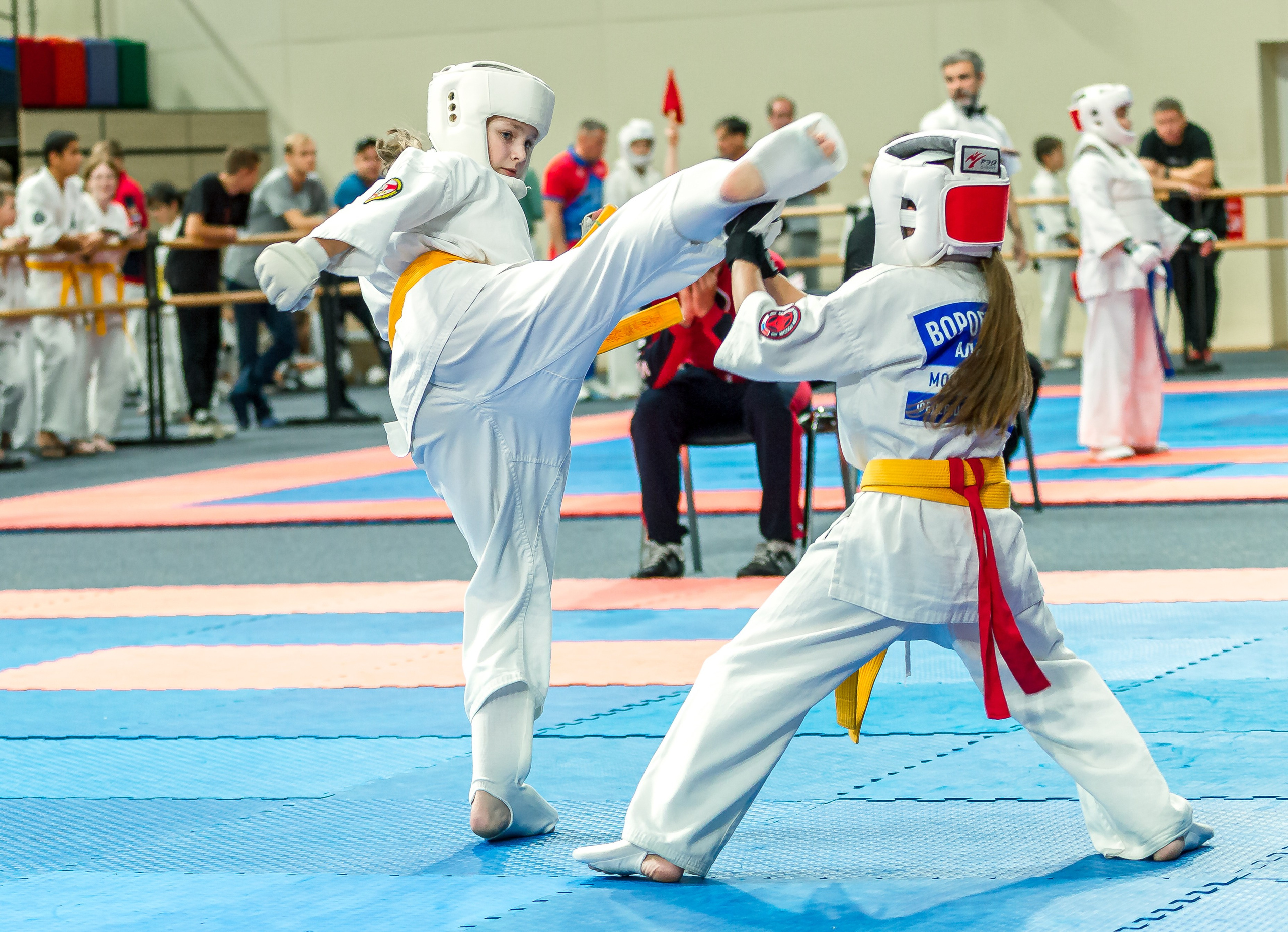 Первенство Московской области по Киокушин в СК «Жаворонки». Репортажная съемка в Москве и области. Анималистика