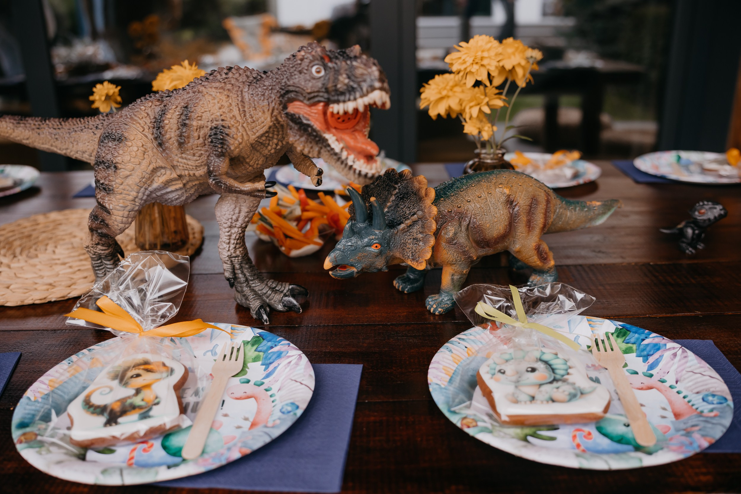 Дино Истории. Фотограф ваших событий