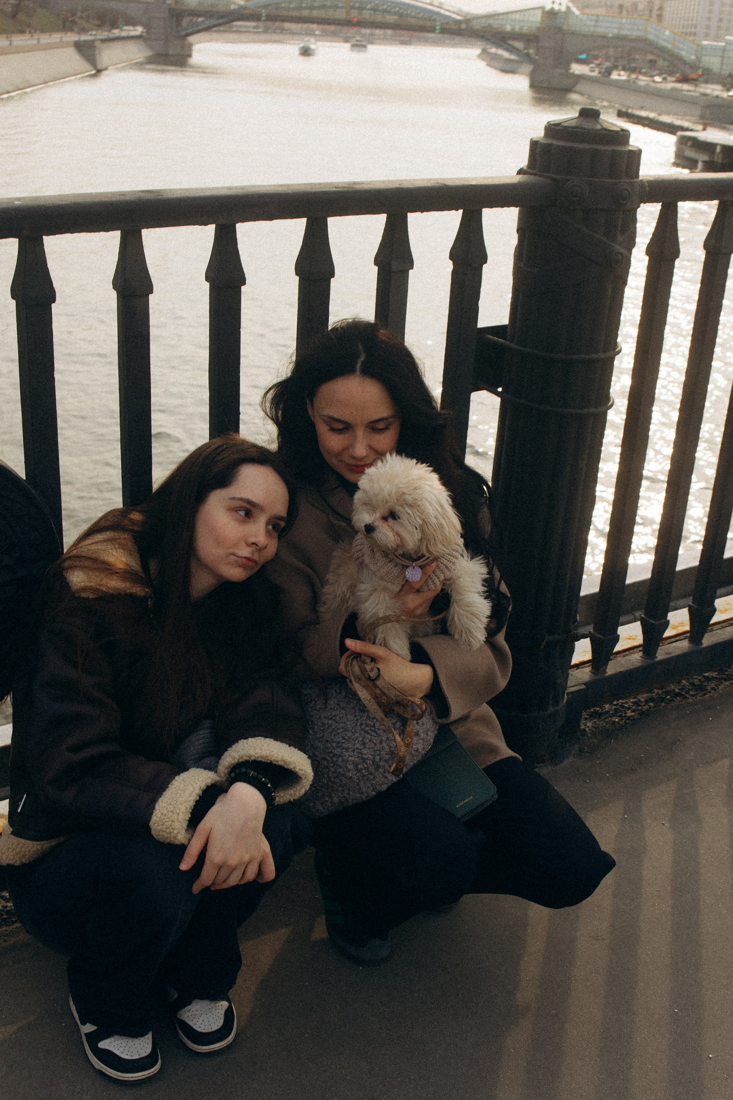 Маша, Лиза и Луна. Фотораф — анималист Мария Шистка