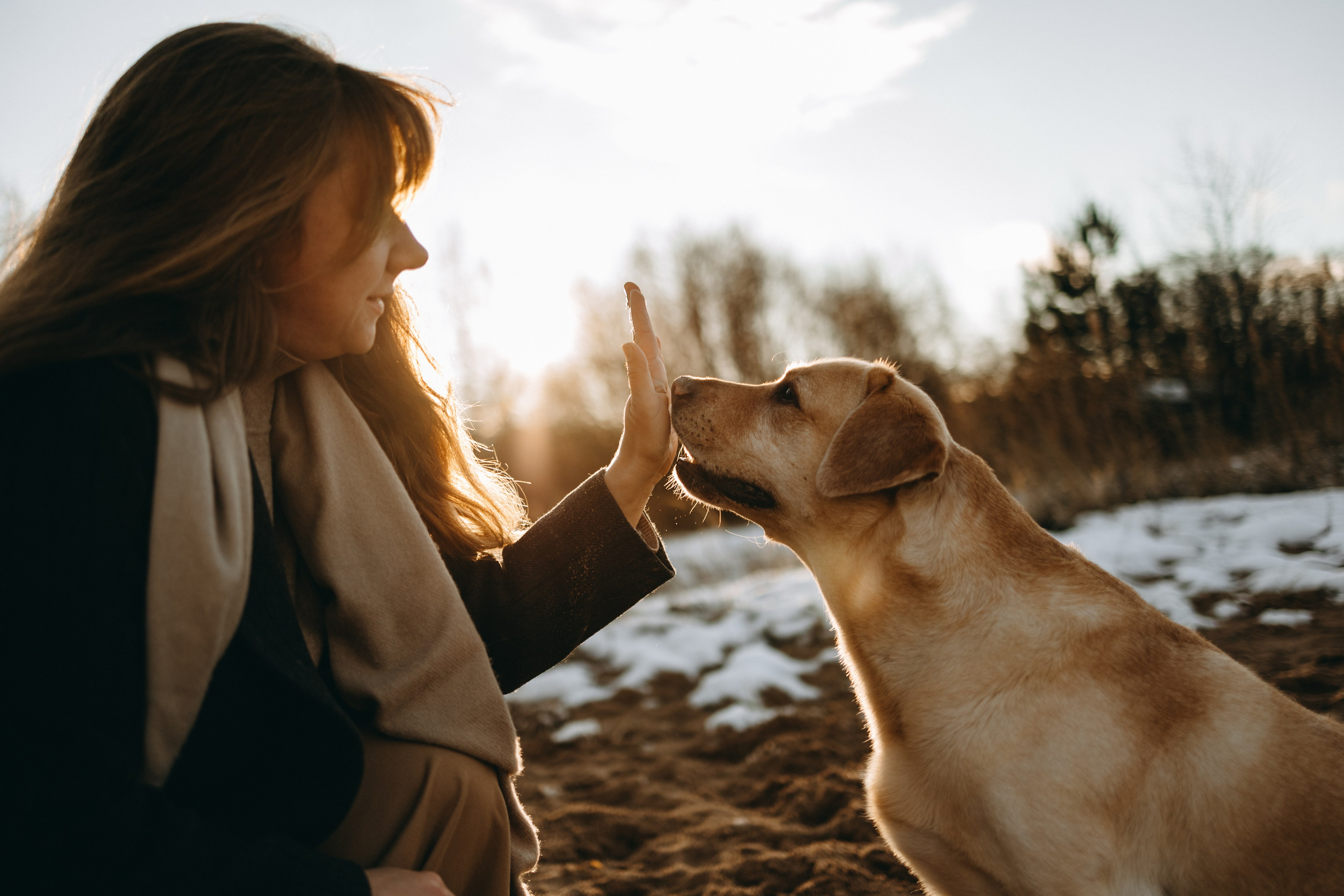 Ирина и Бася. Фотограф — Анималист | Санкт-Петербург