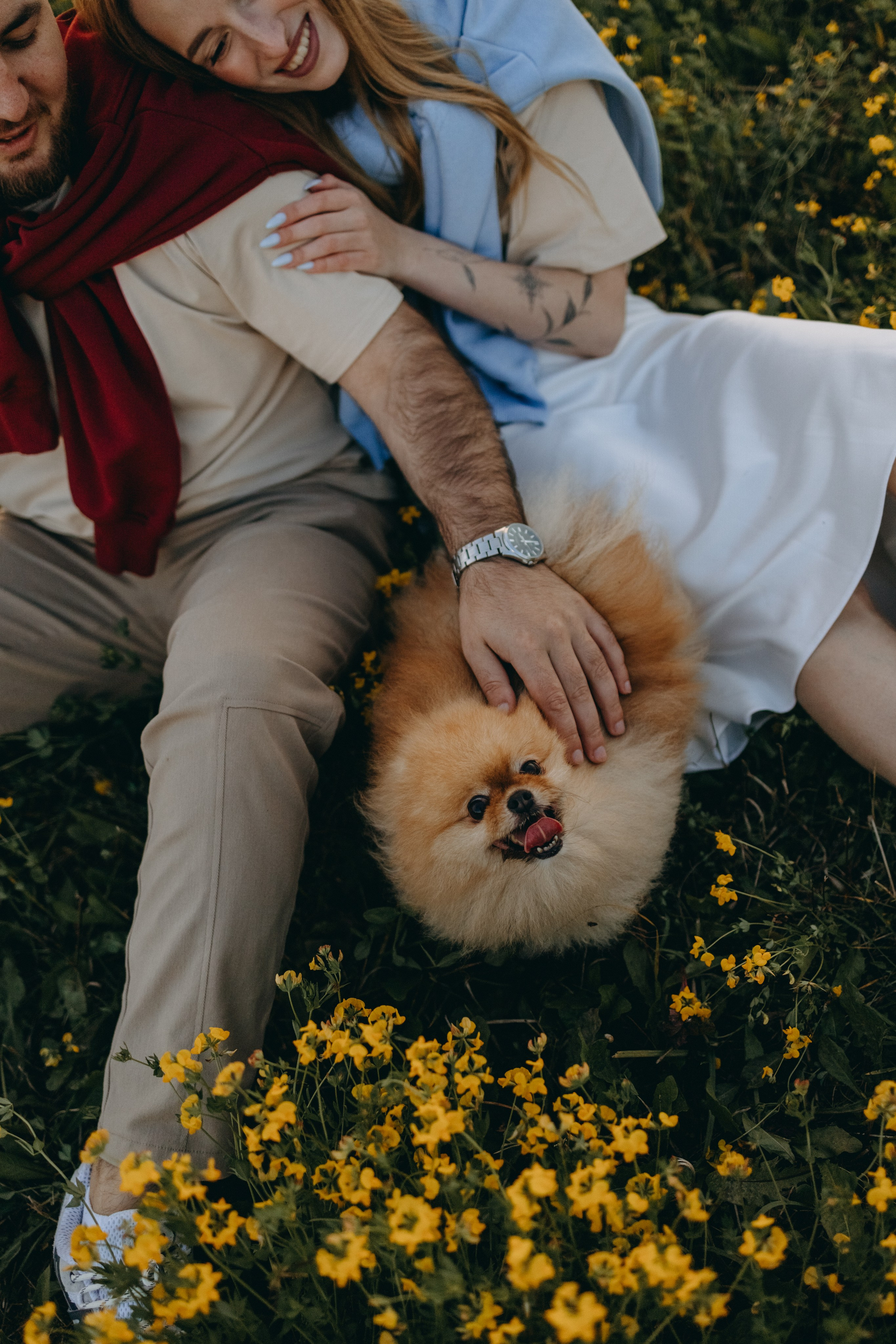 Стив и его семья. Фотограф — Анималист | Санкт-Петербург