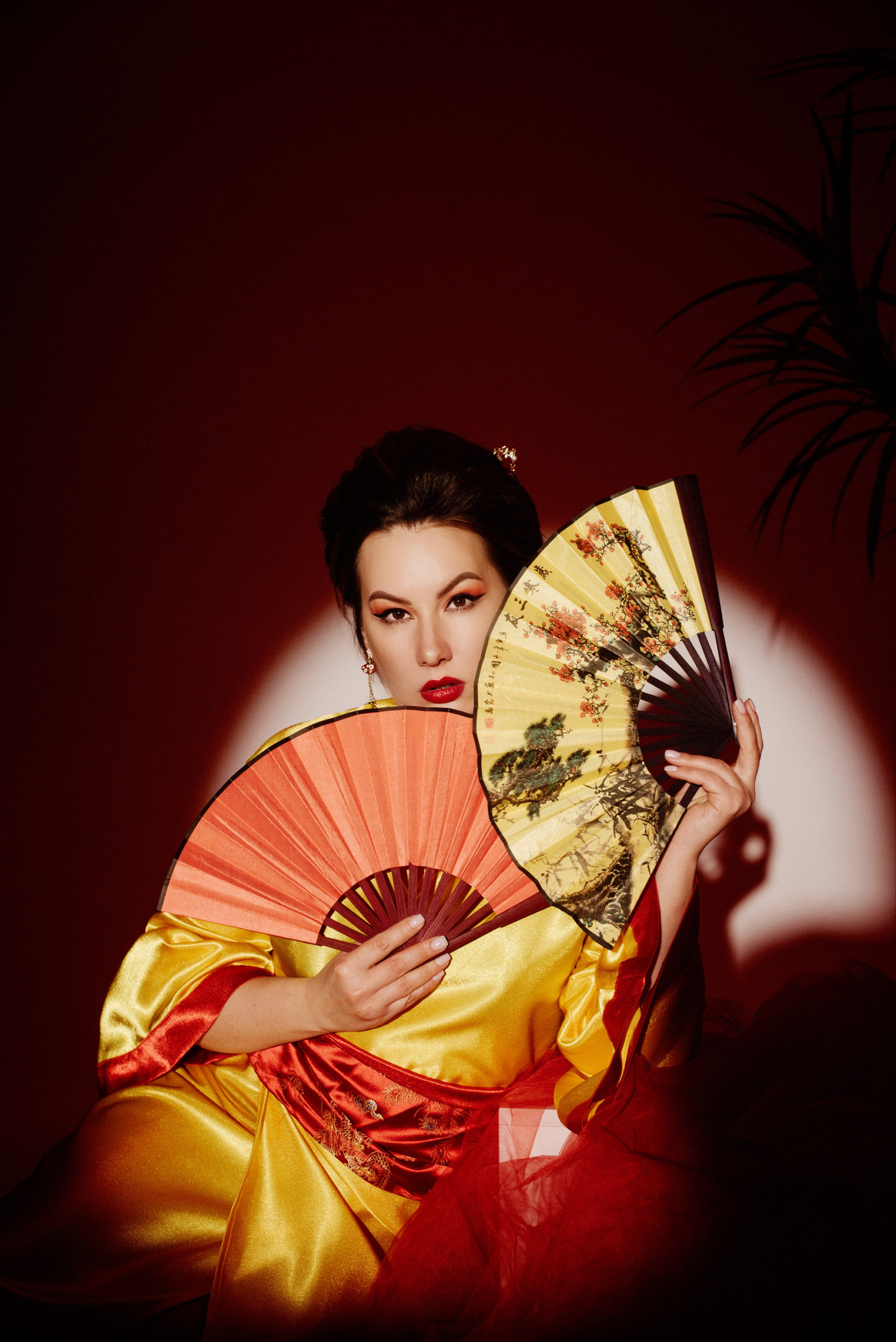 Фото МЕМУАРЫ ГЕЙШИ от Натальи. ФОТОПРОЕКТЫ