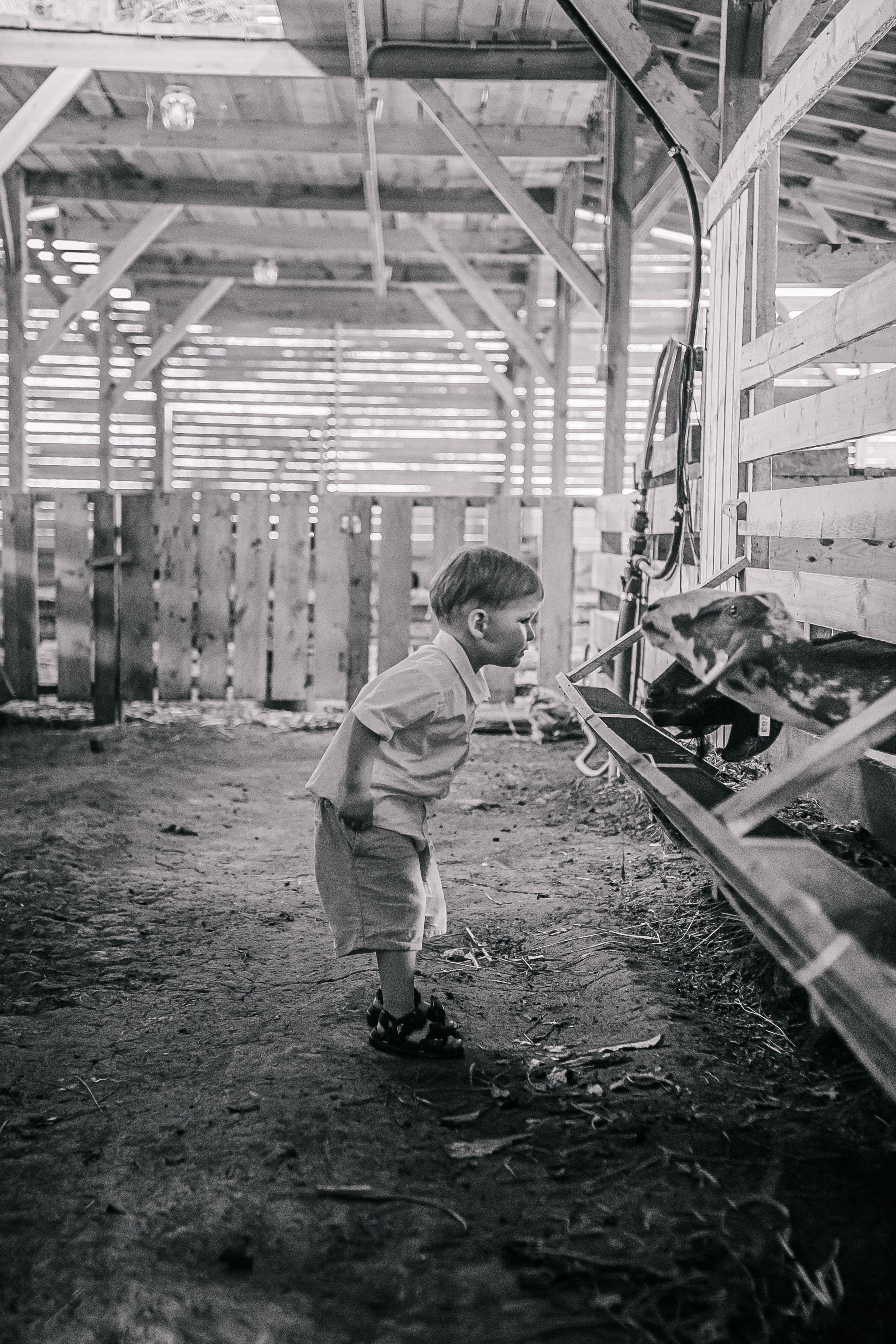 Глоток воздуха. Женский и семейный фотограф в Краснодаре Яна Теплая