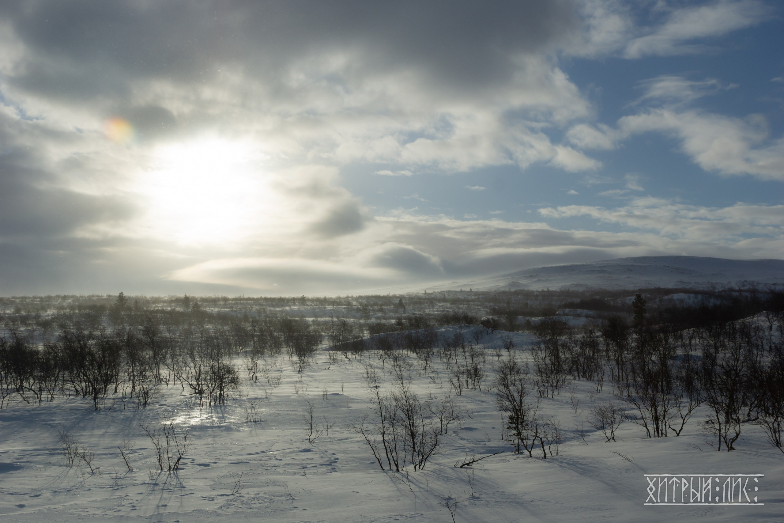 Мурманская обл. Фотограф-путешественник Самойлов Максим «Sly Fox»