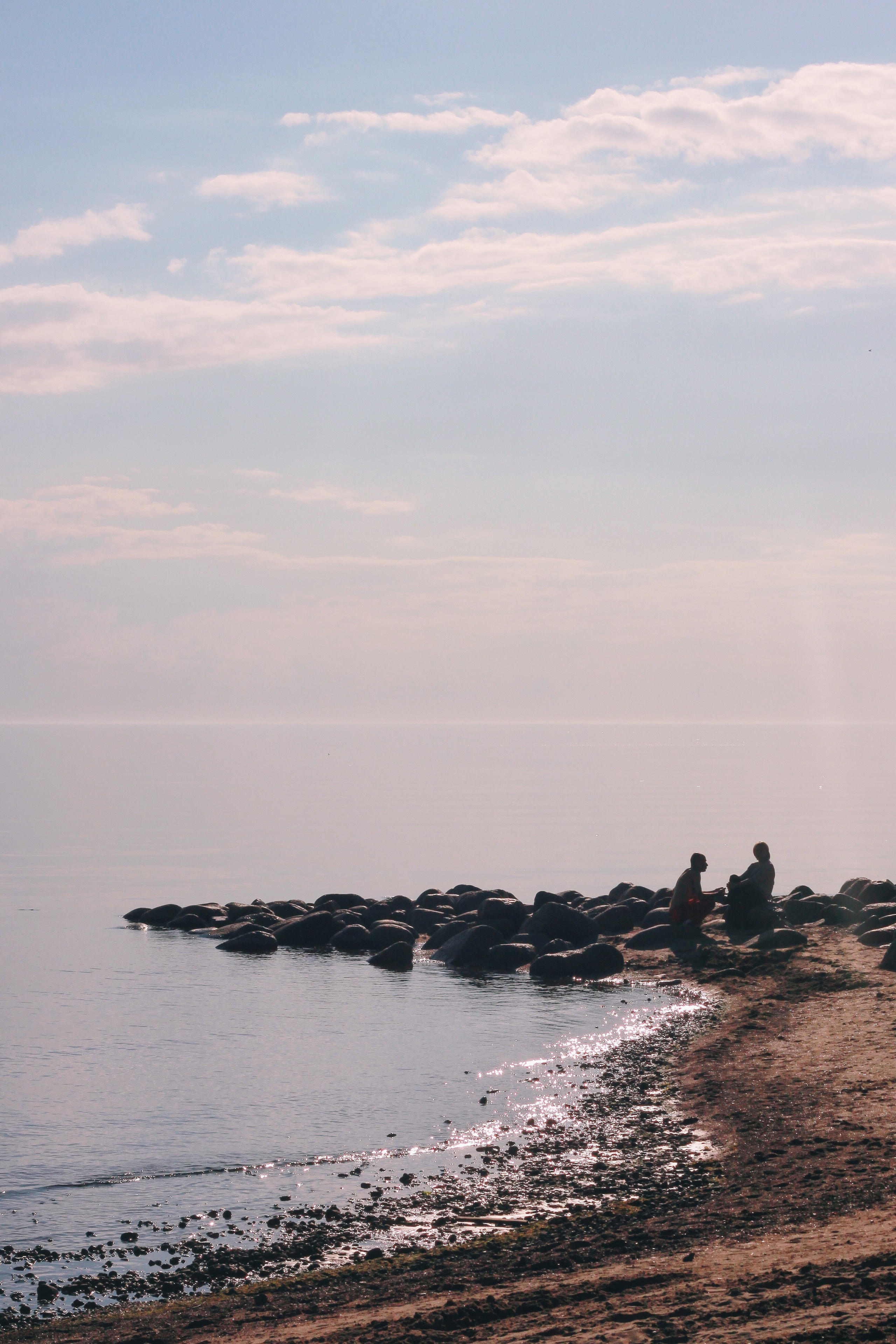 Strangers. Alina Panover