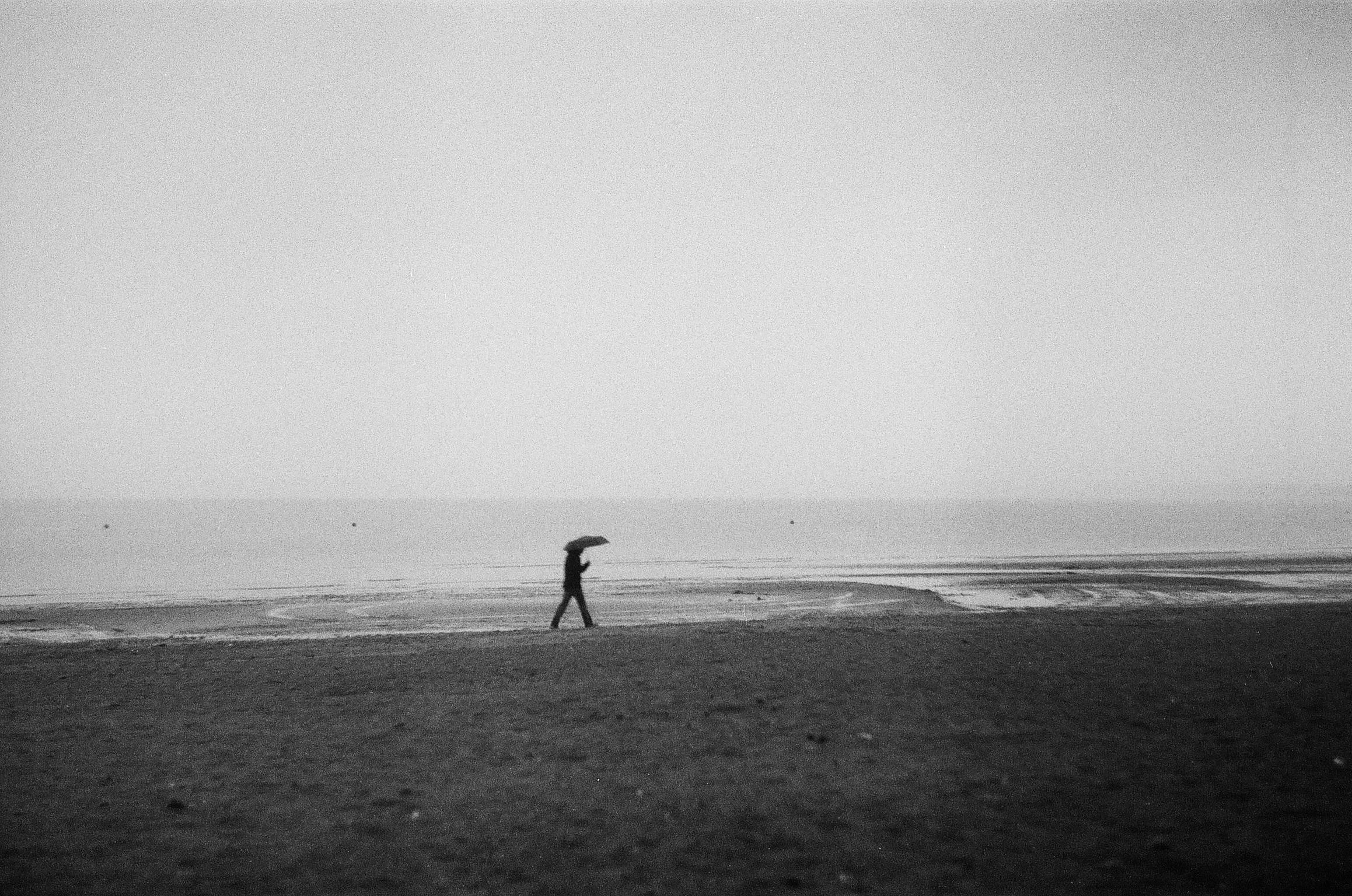 Strangers. Alina Panover