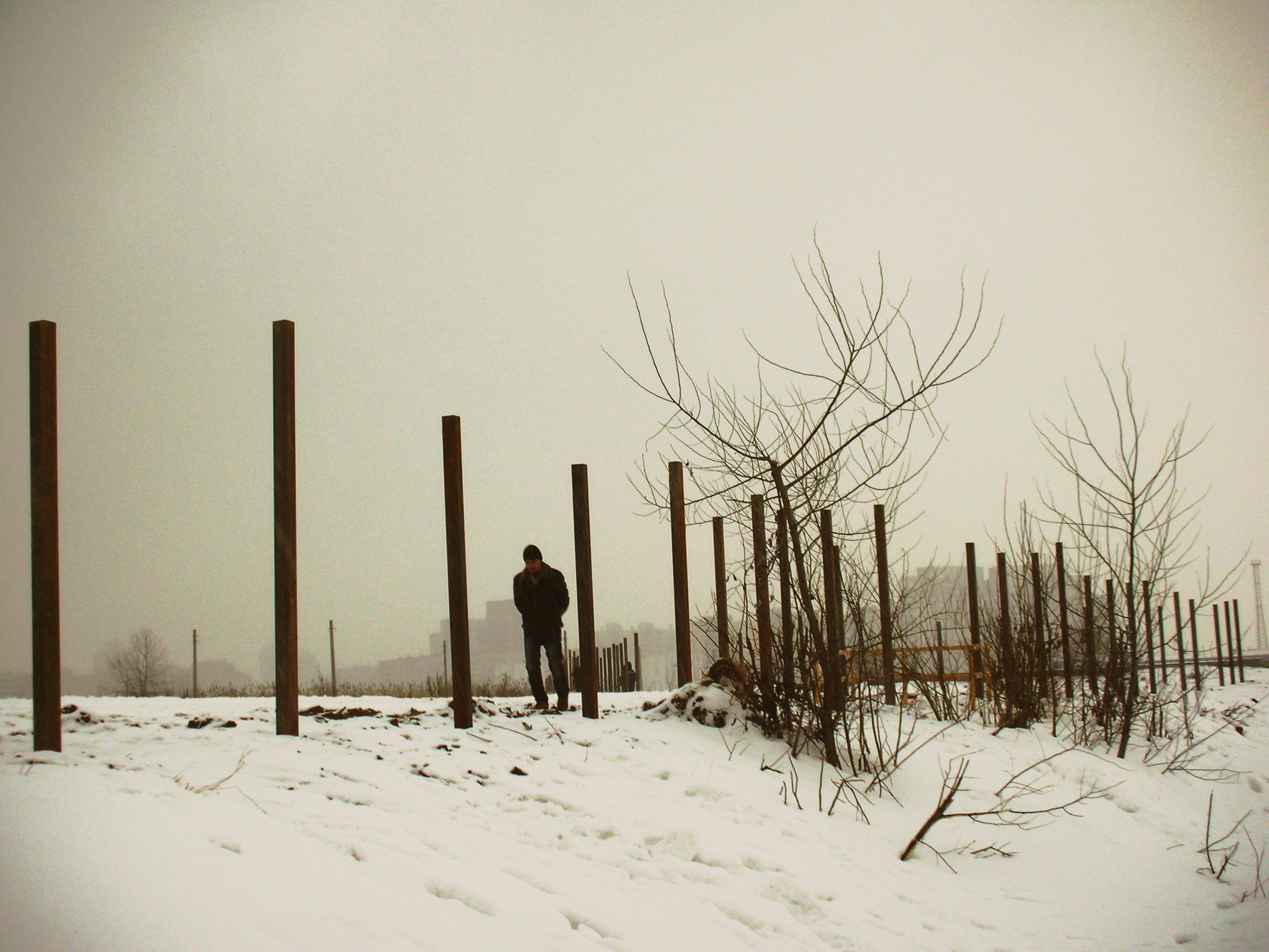 Strangers. Alina Panover