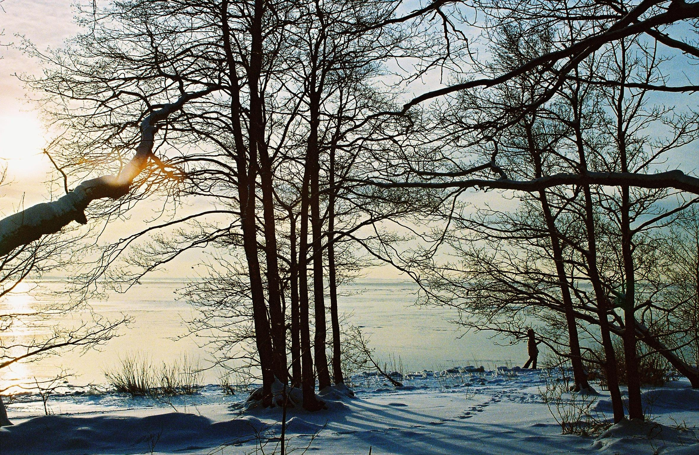 35mm film. Alina Panover