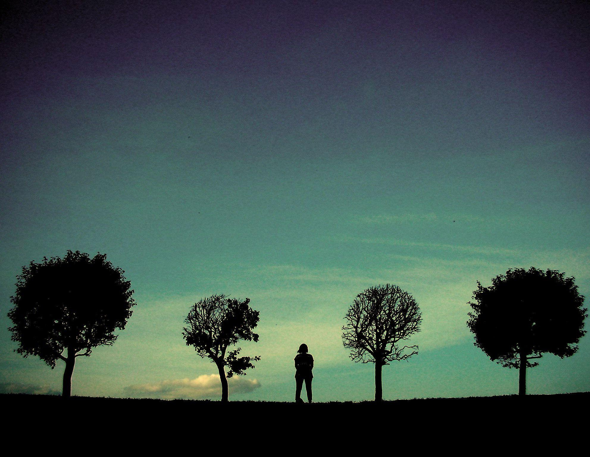 Strangers. Alina Panover