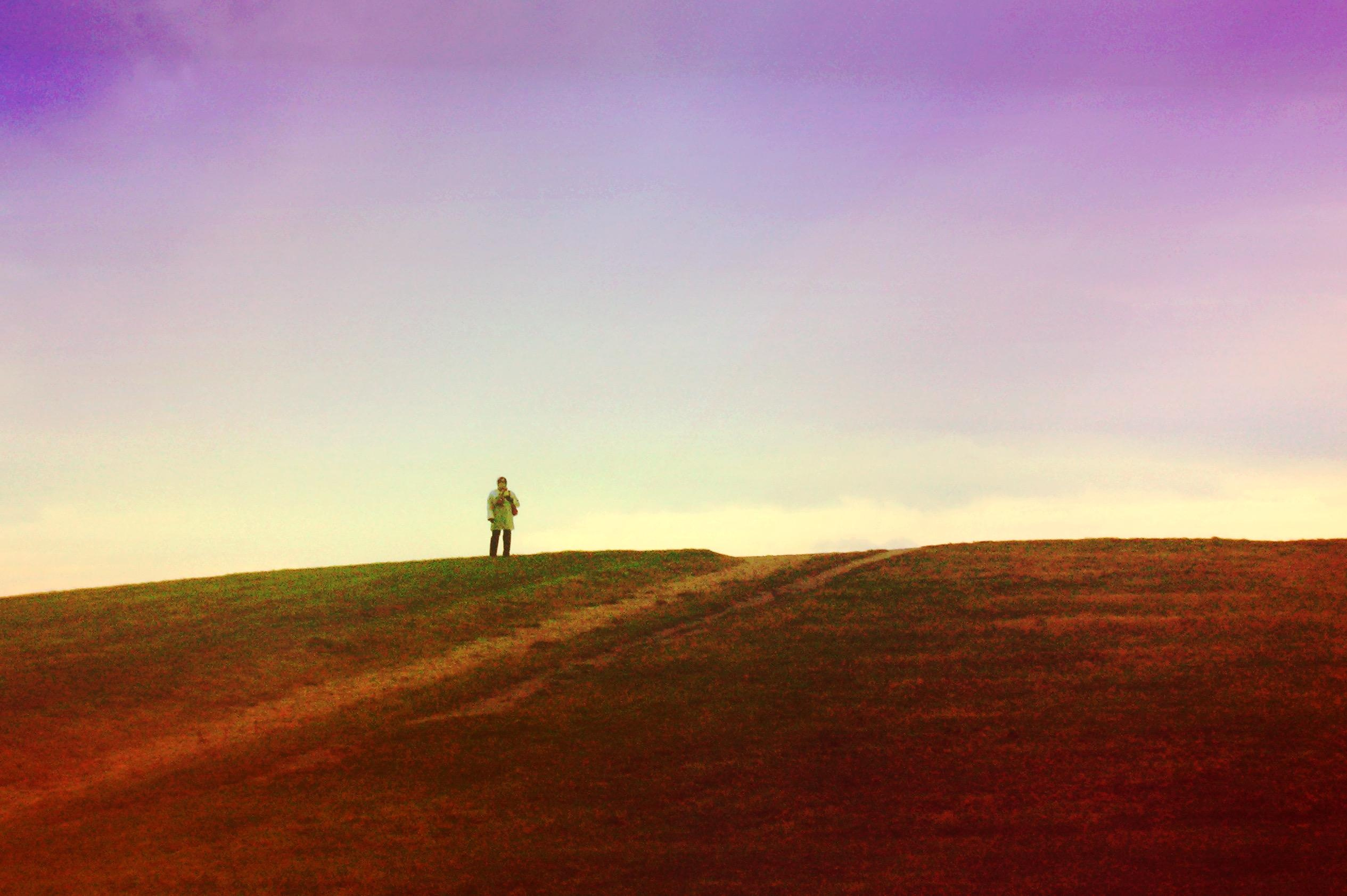 Strangers. Alina Panover