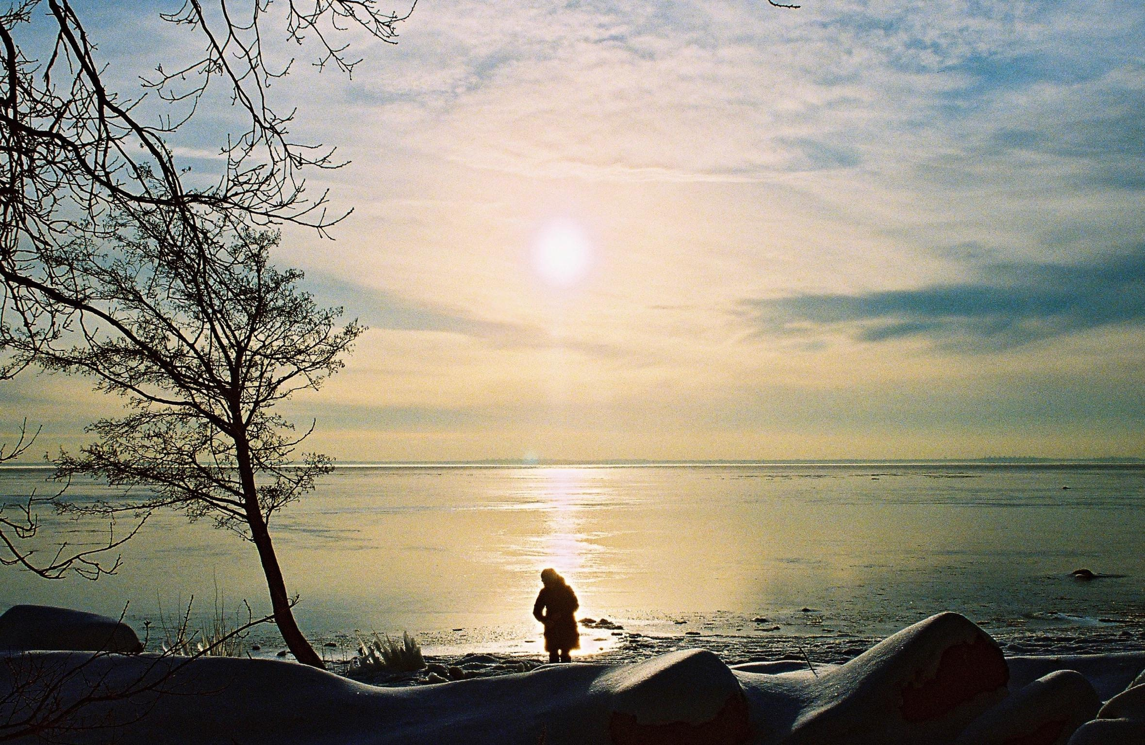 35mm film. Alina Panover