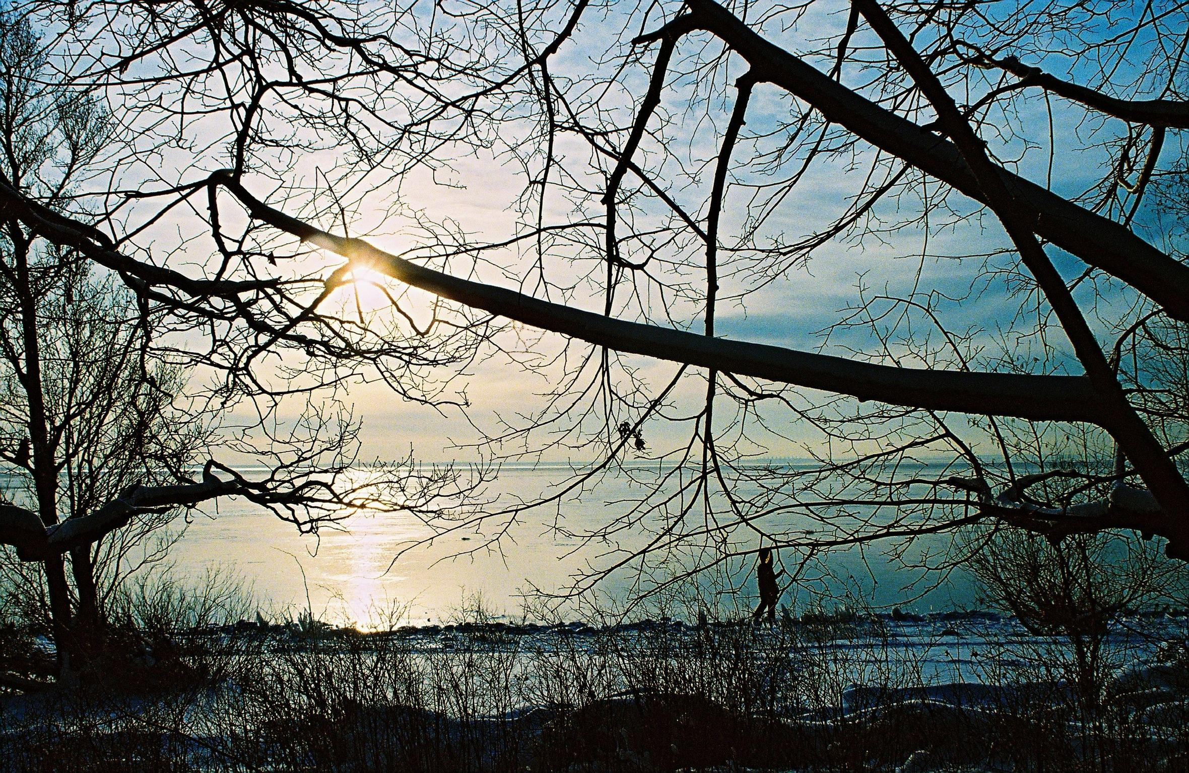 35mm film. Alina Panover