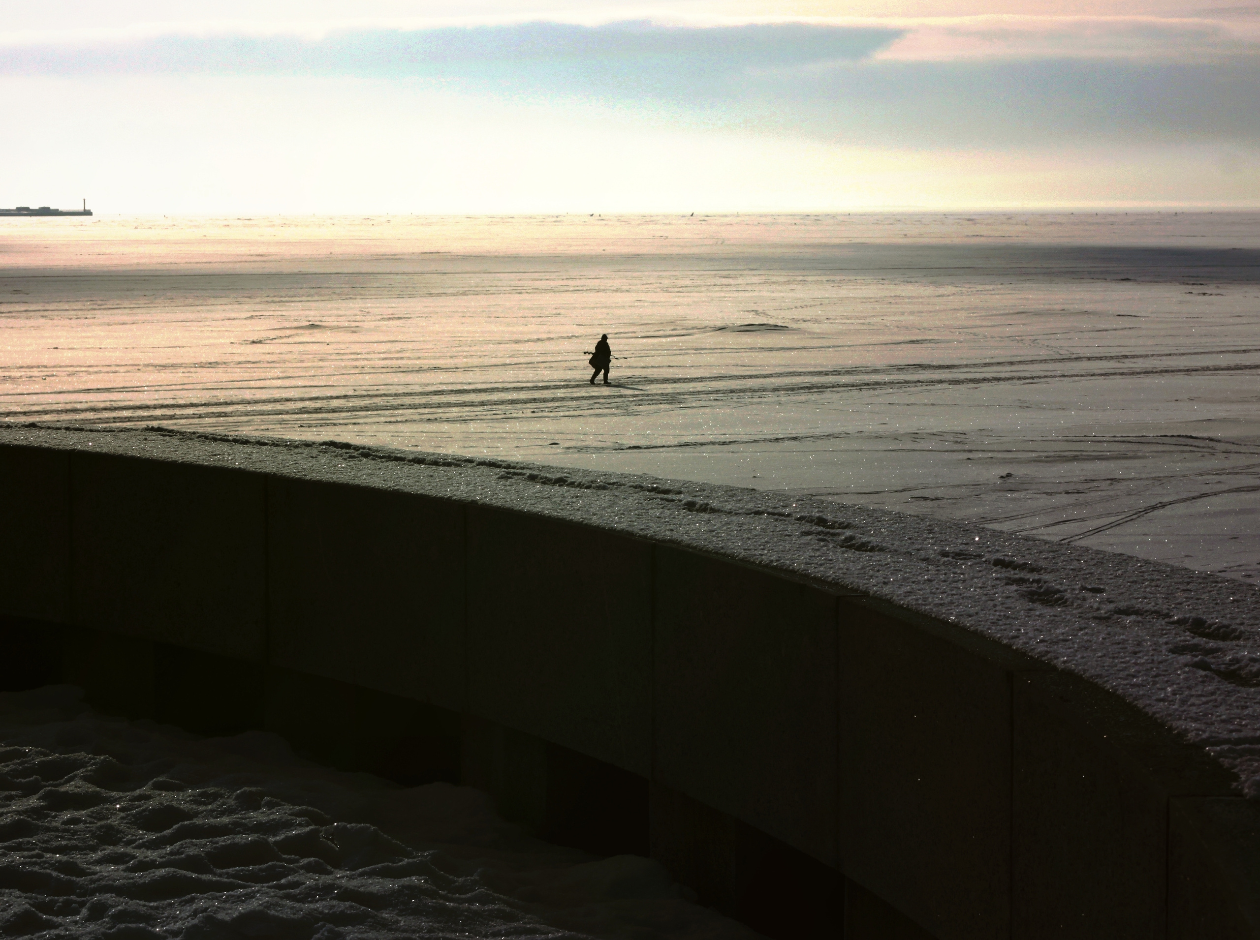 Strangers. Alina Panover