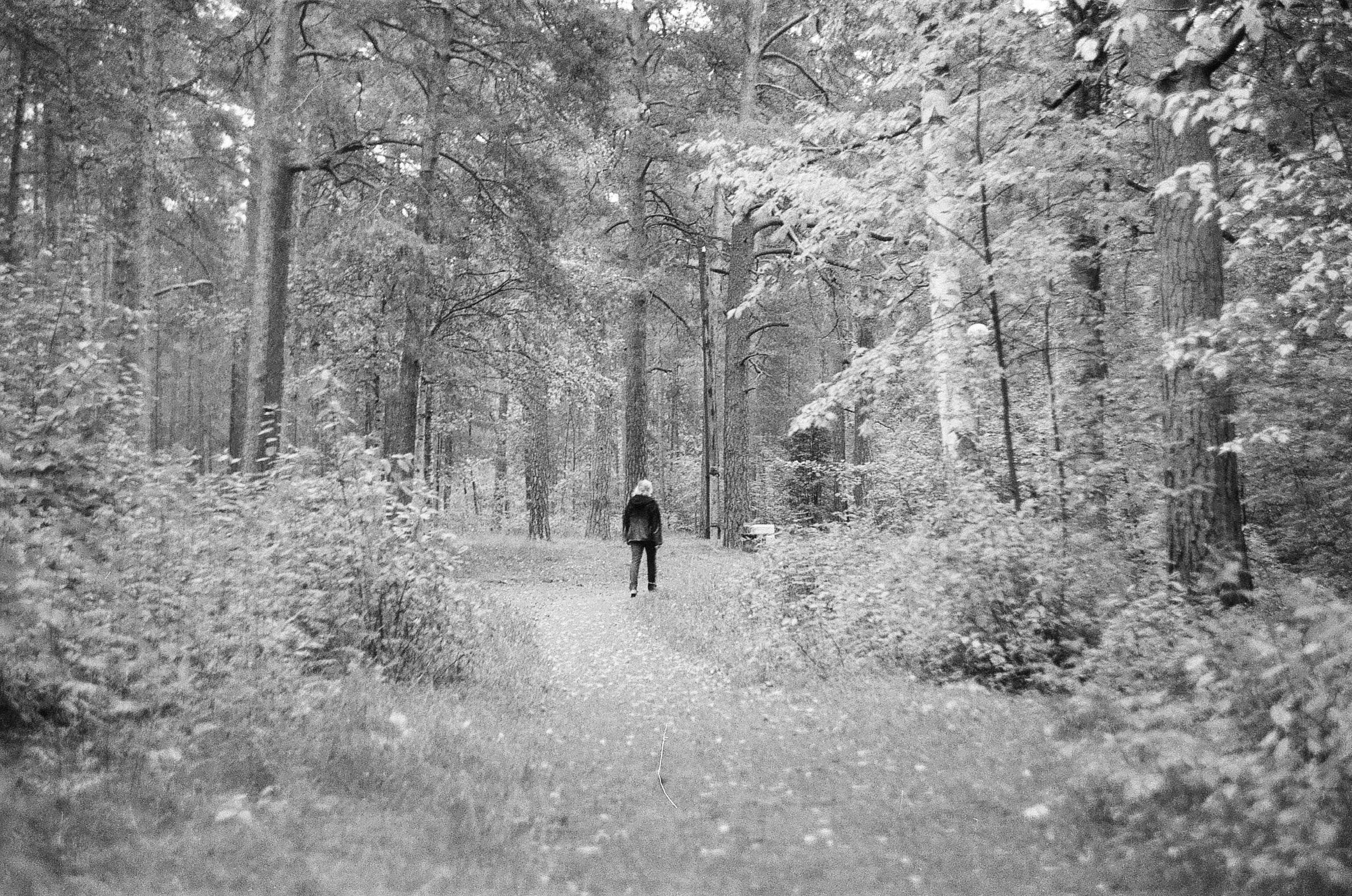 35mm film. Alina Panover