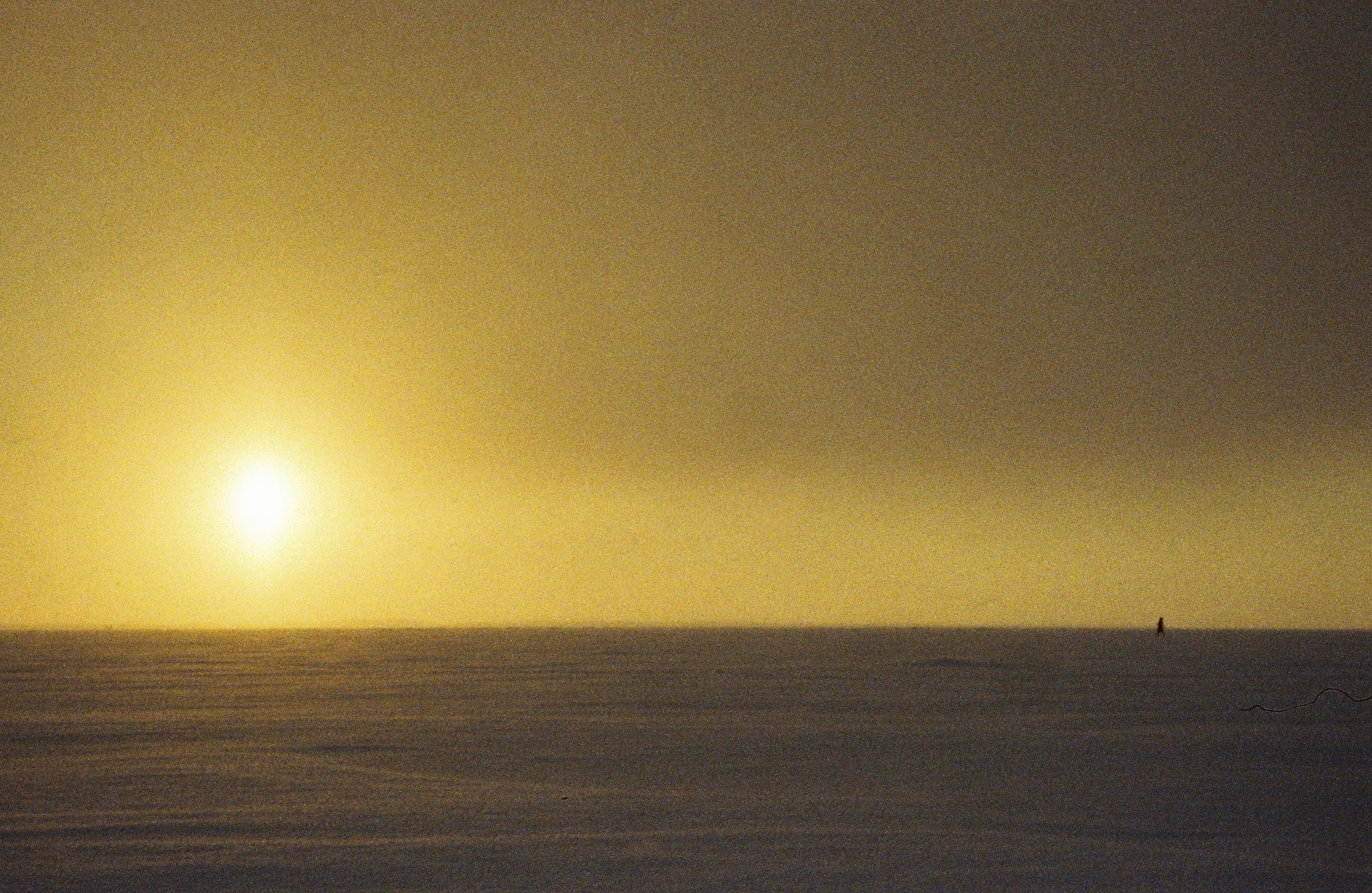 35mm film. Alina Panover