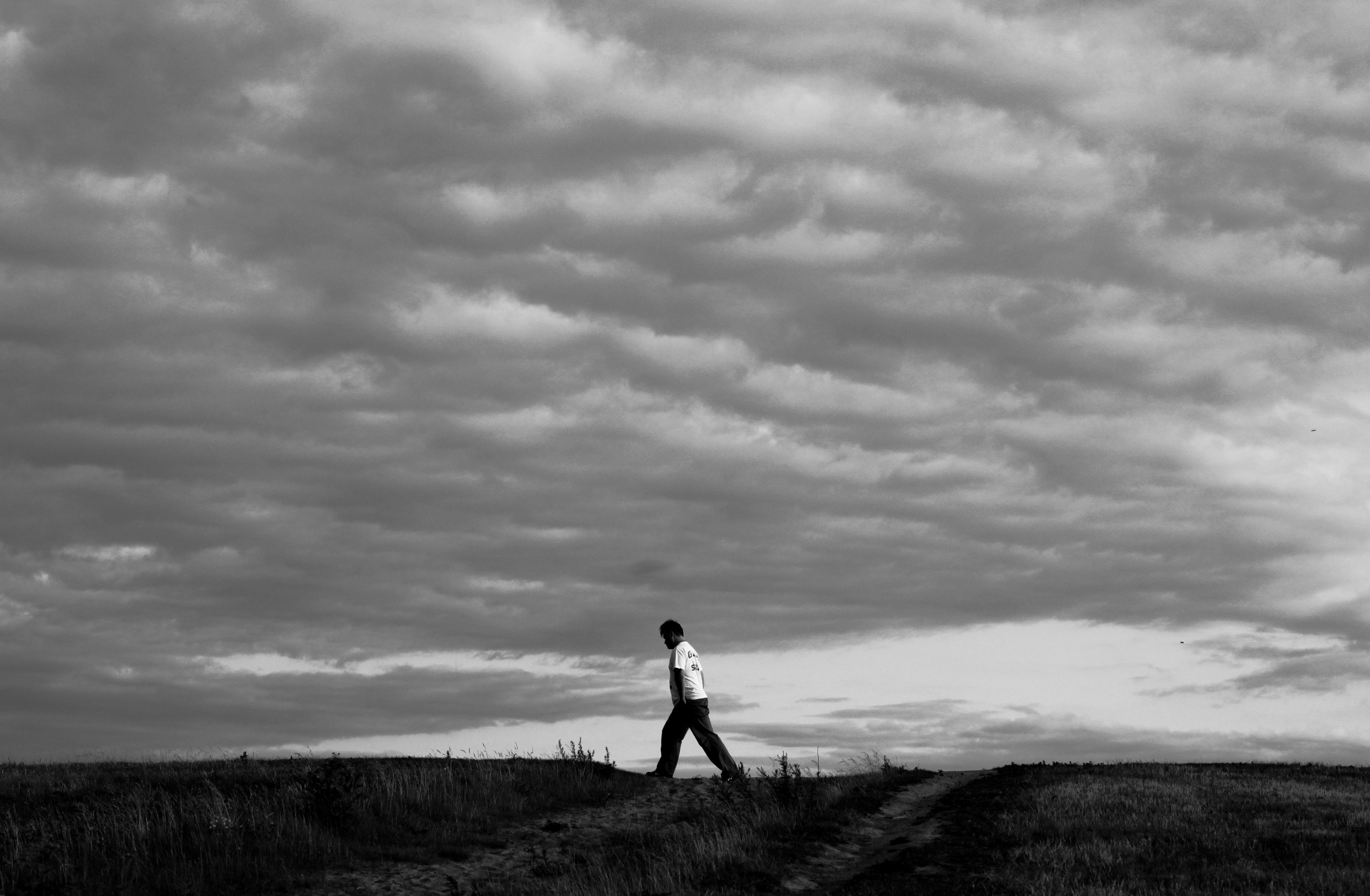 Strangers. Alina Panover