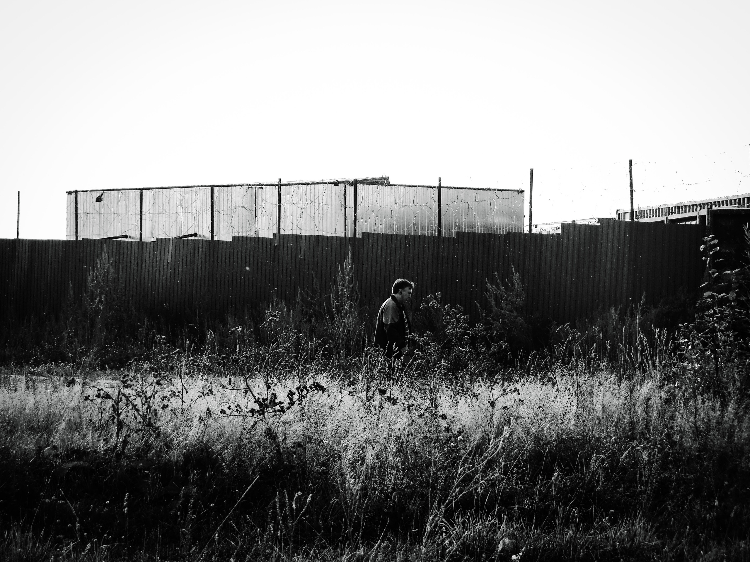 Strangers. Alina Panover