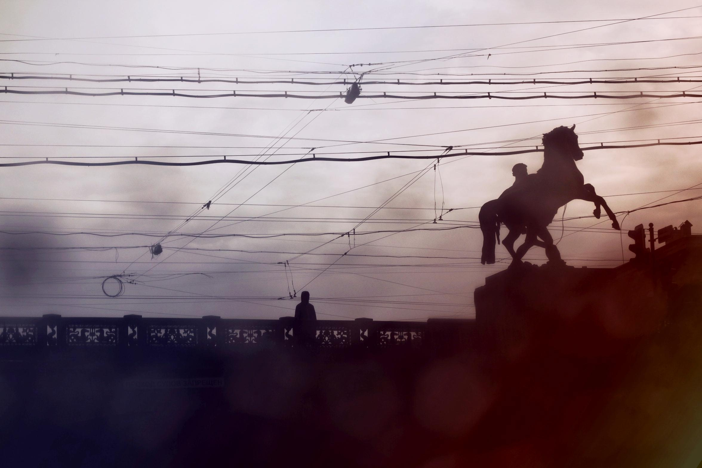 Strangers. Alina Panover