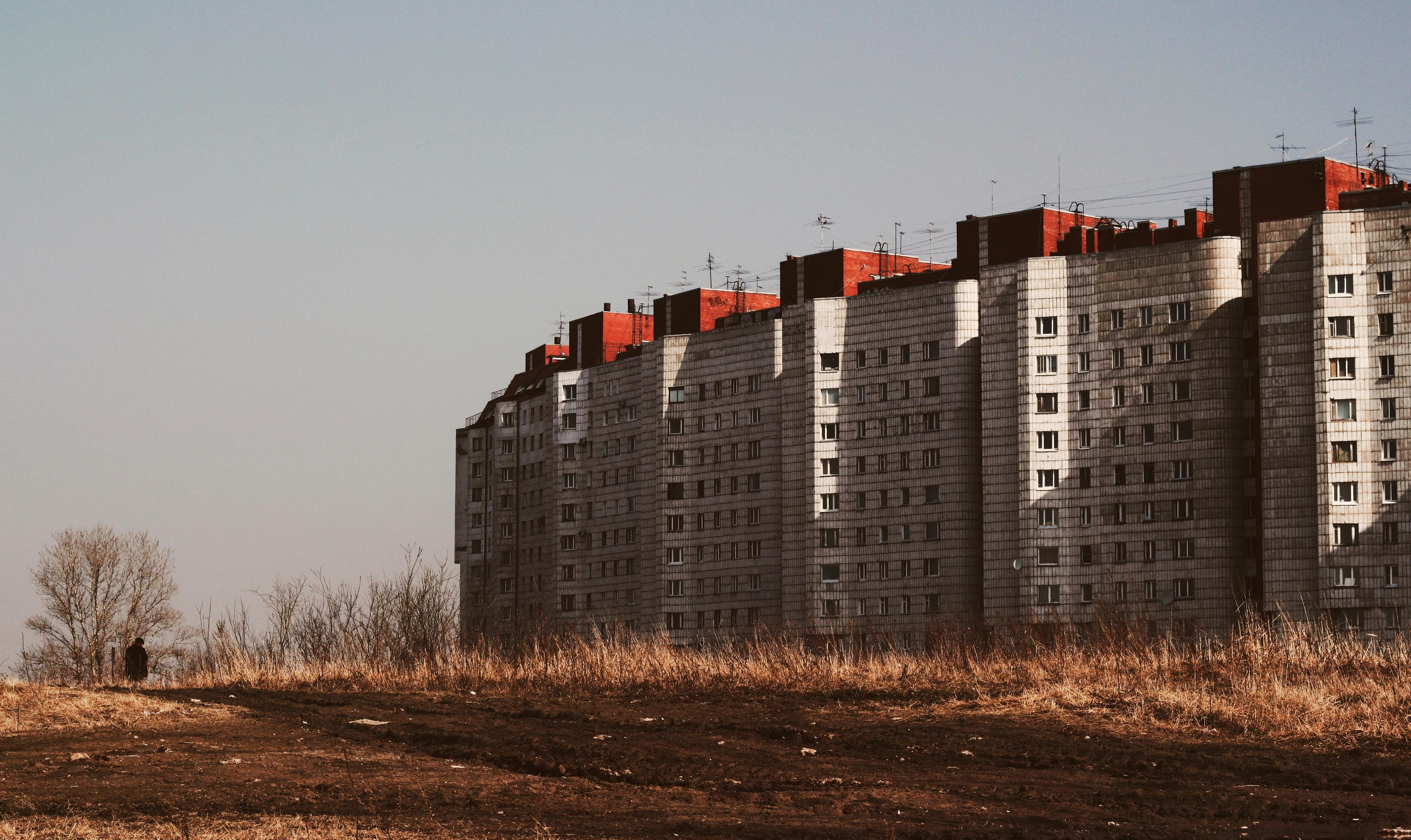 Strangers. Alina Panover