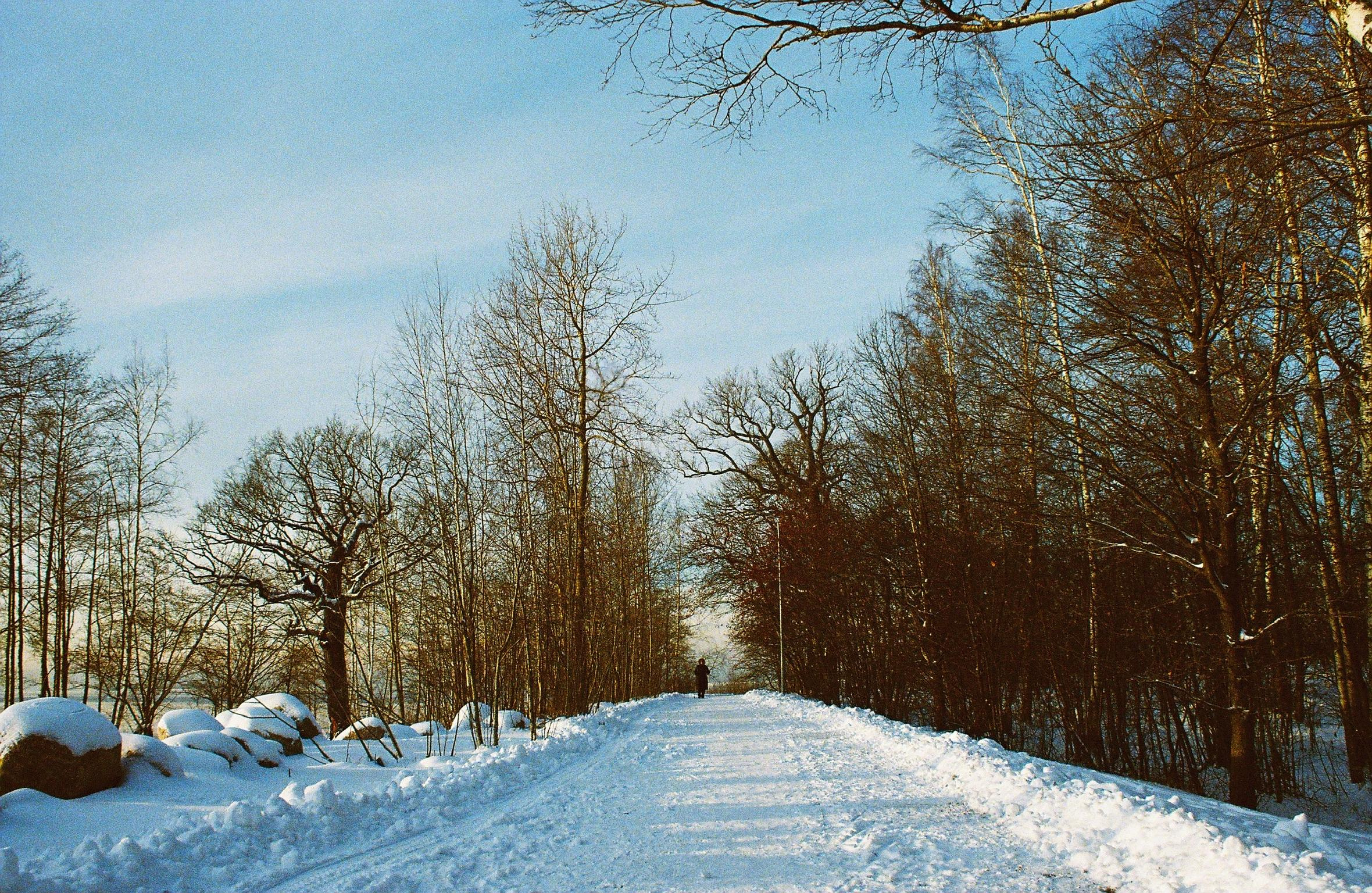 35mm film. Alina Panover