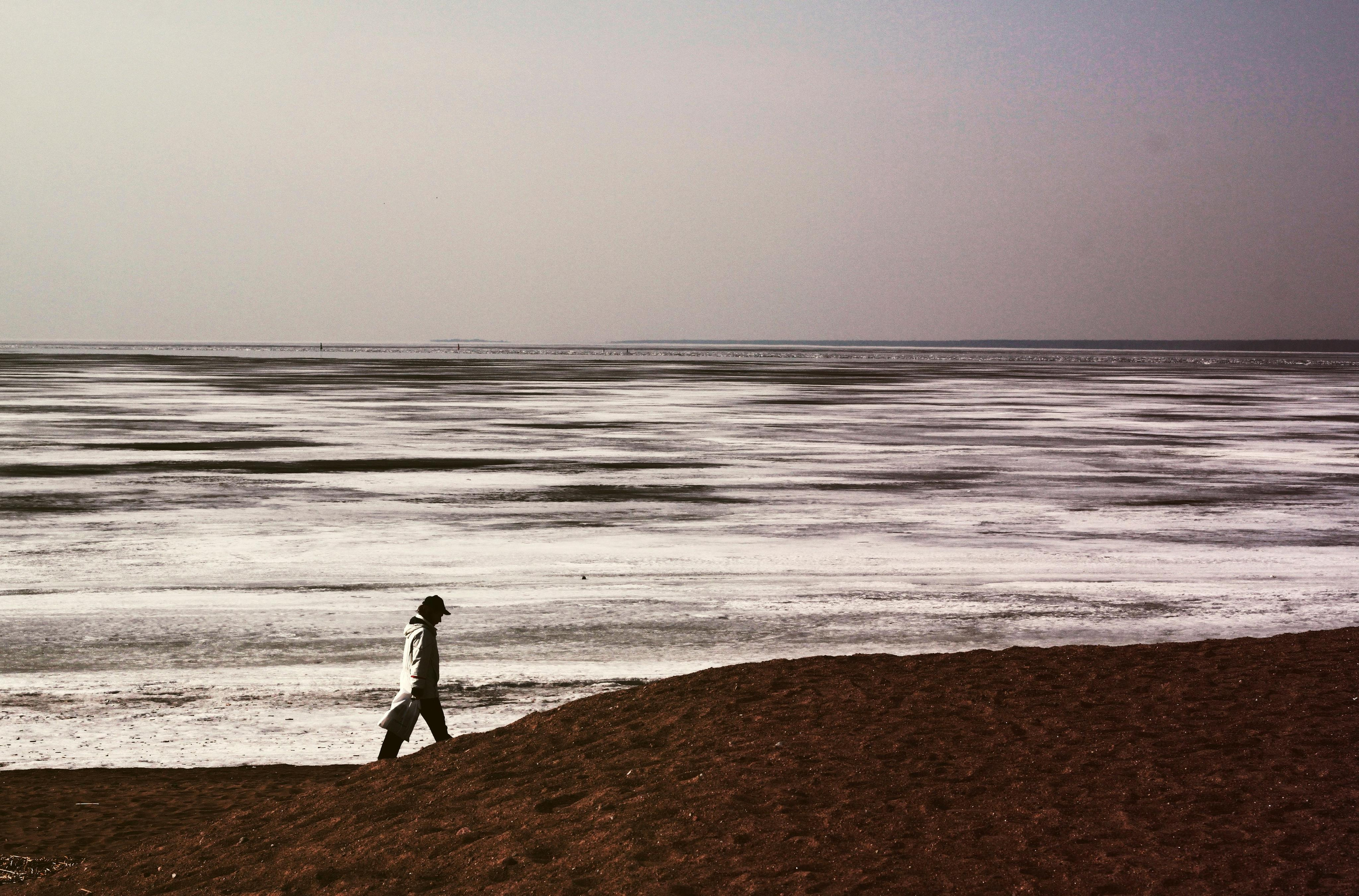 Strangers. Alina Panover