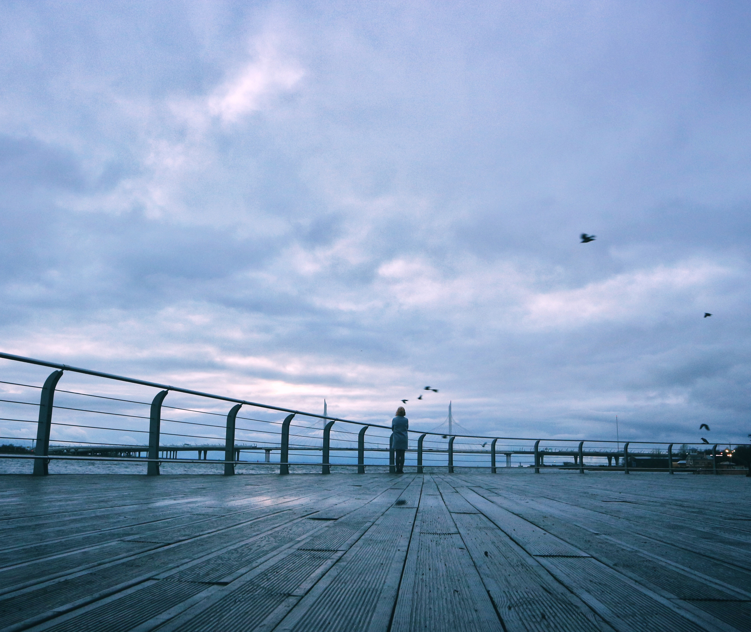 Strangers. Alina Panover