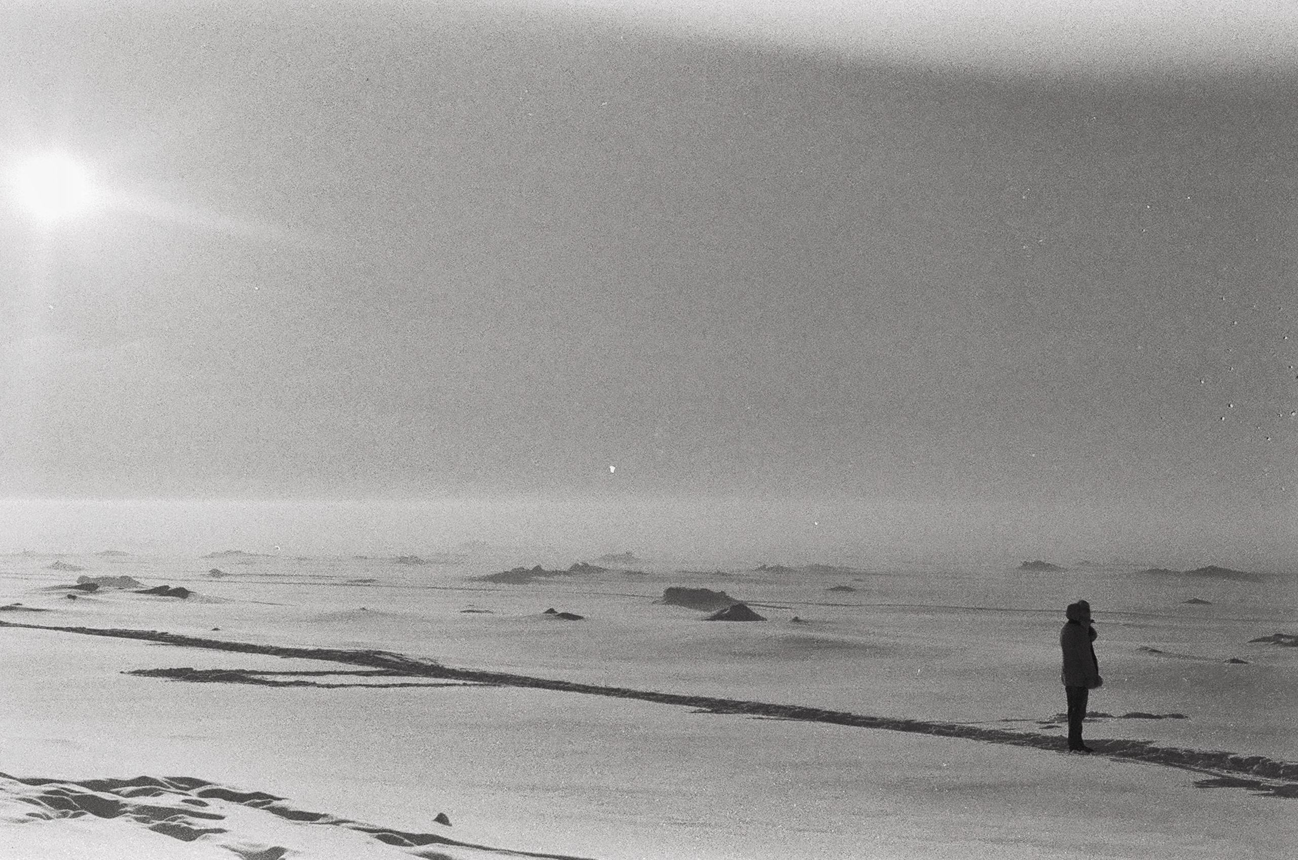 Strangers. Alina Panover