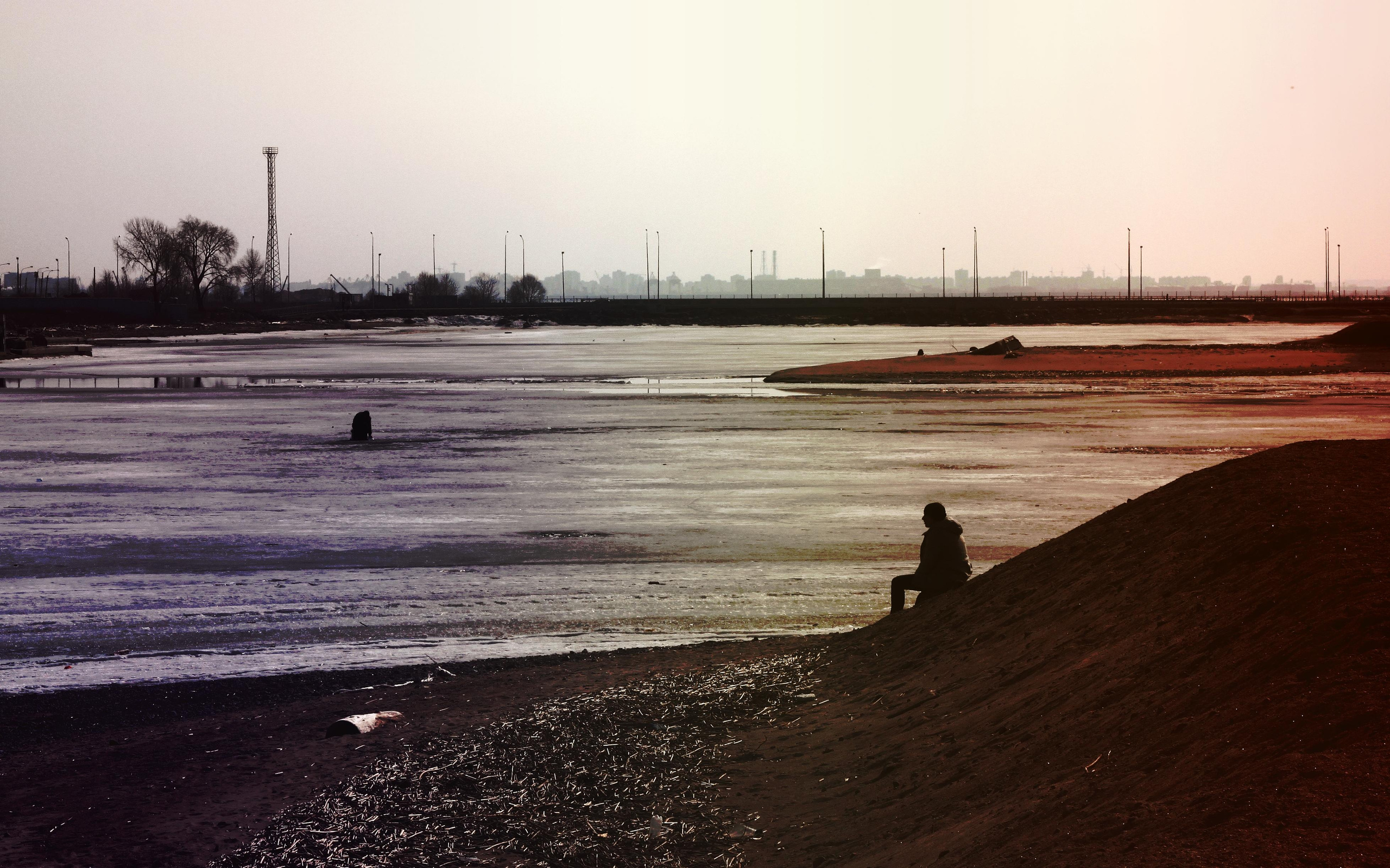 Strangers. Alina Panover