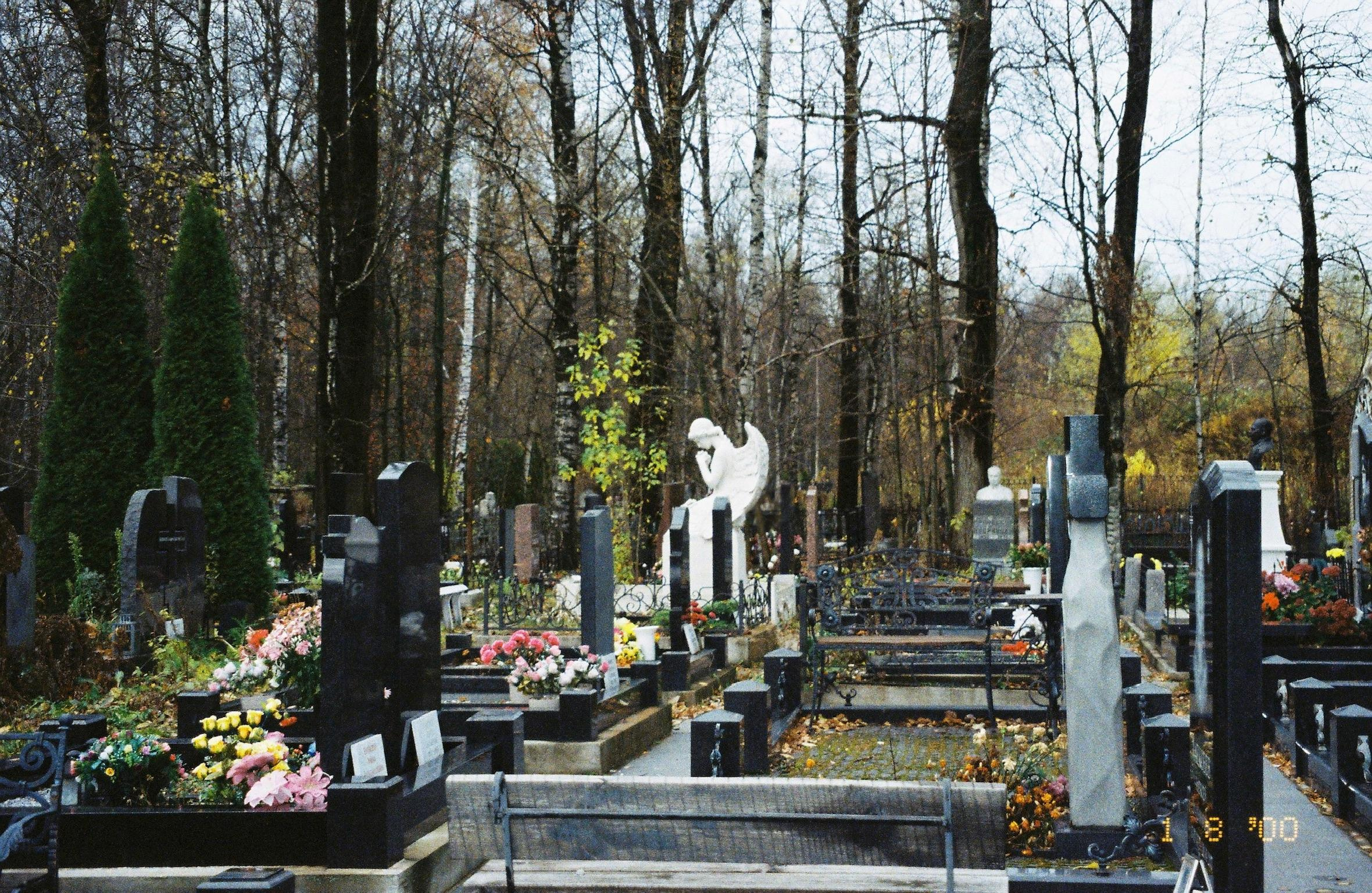 35mm film. Alina Panover