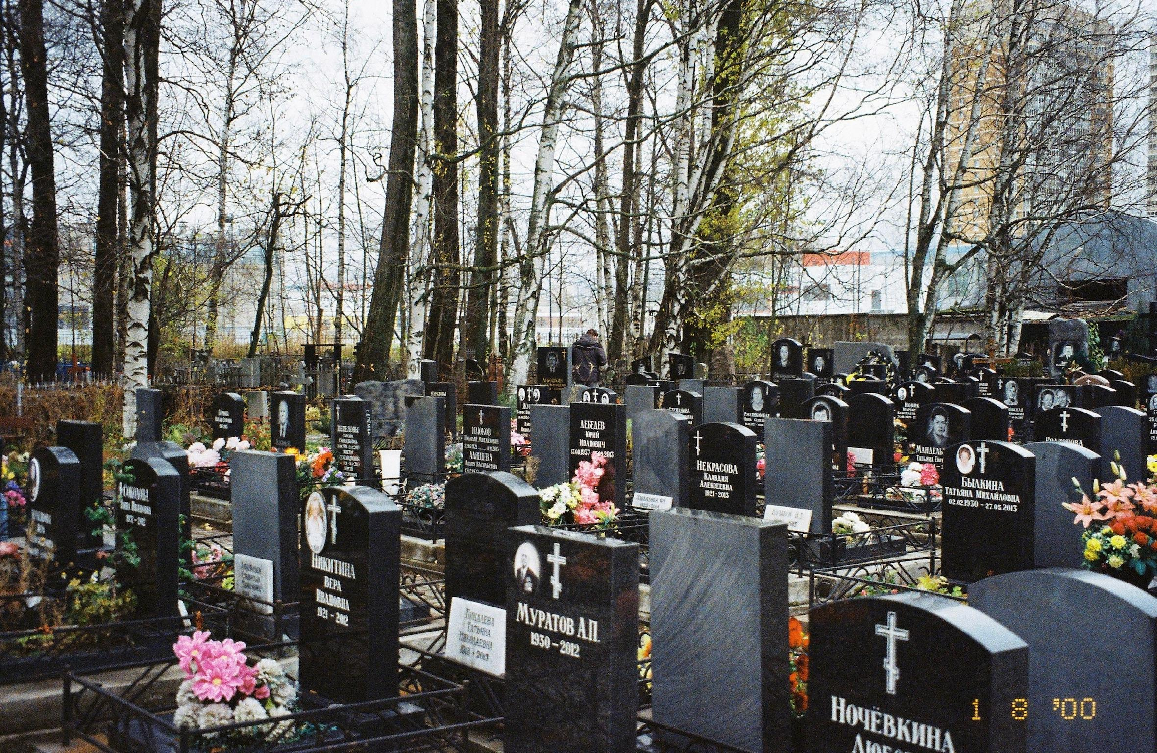 35mm film. Alina Panover