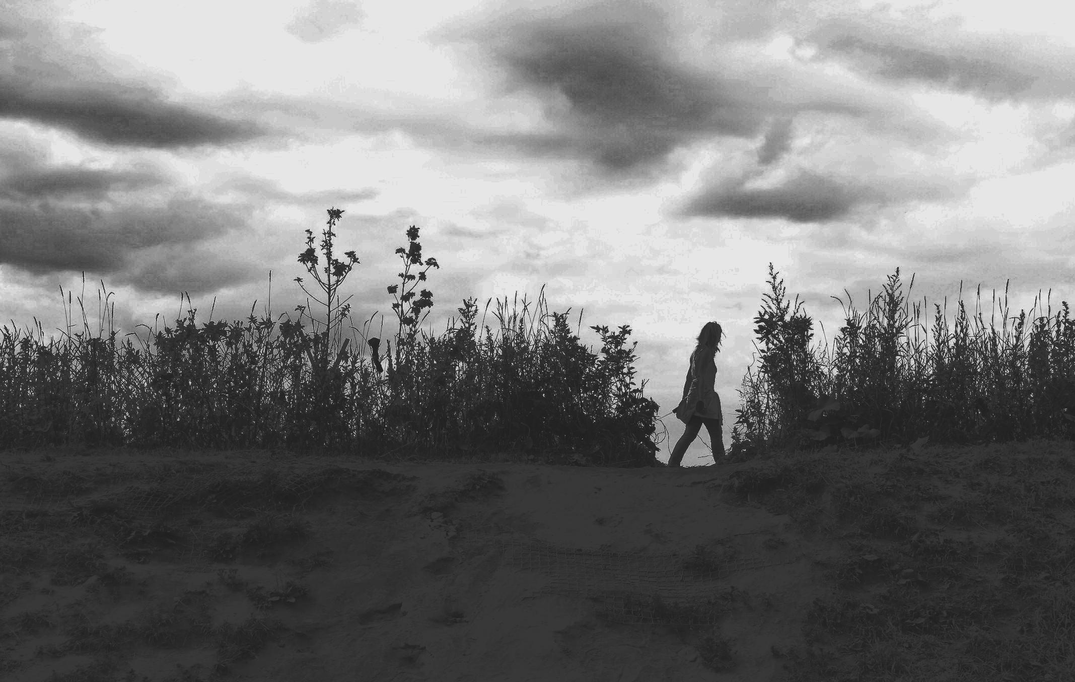 Strangers. Alina Panover