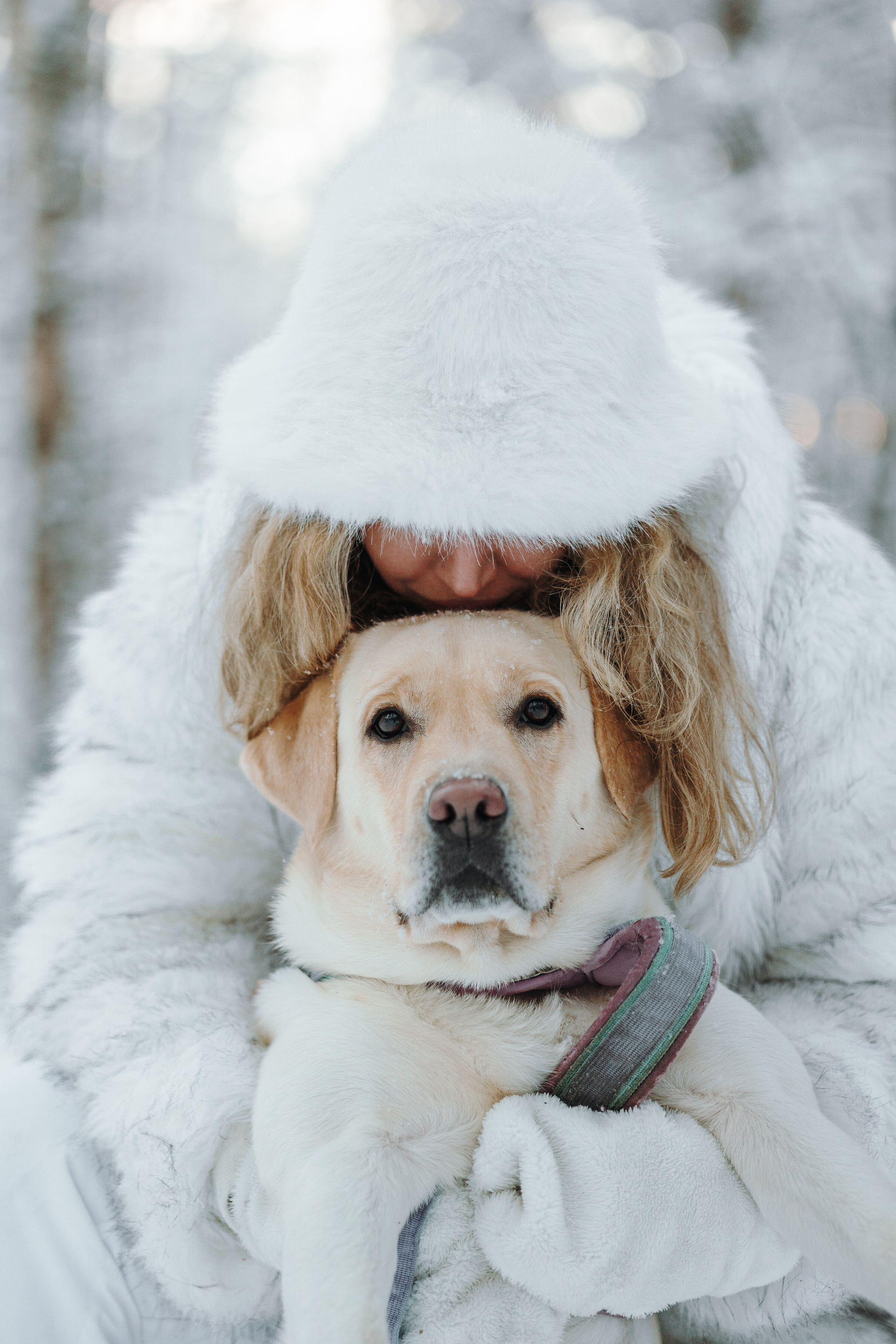 Ребята и их хвостатая семейка. Фотограф — Анималист | Санкт-Петербург