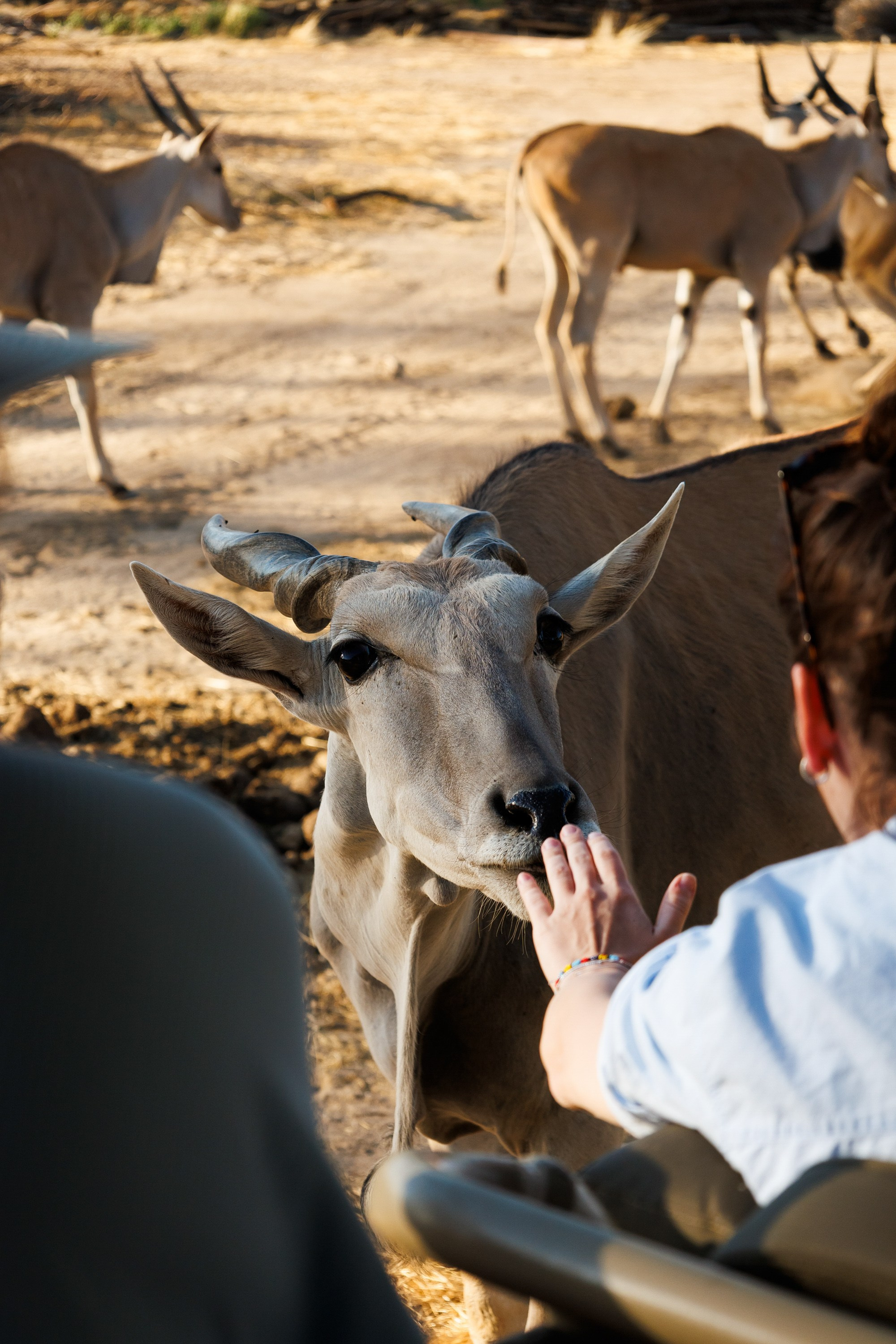 НАМИБИЯ. Роадтрип