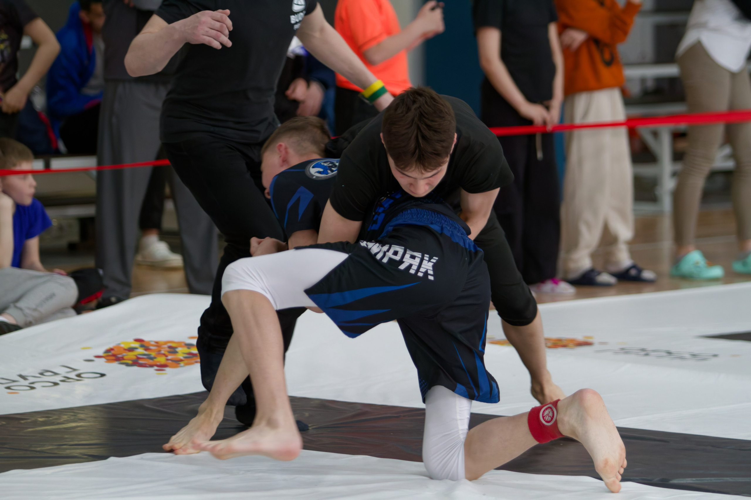 Борьба. Джиу-джитсу 26.04.2025. Репортажный и спортивный фотограф в г. Пермь Зильберг Павел