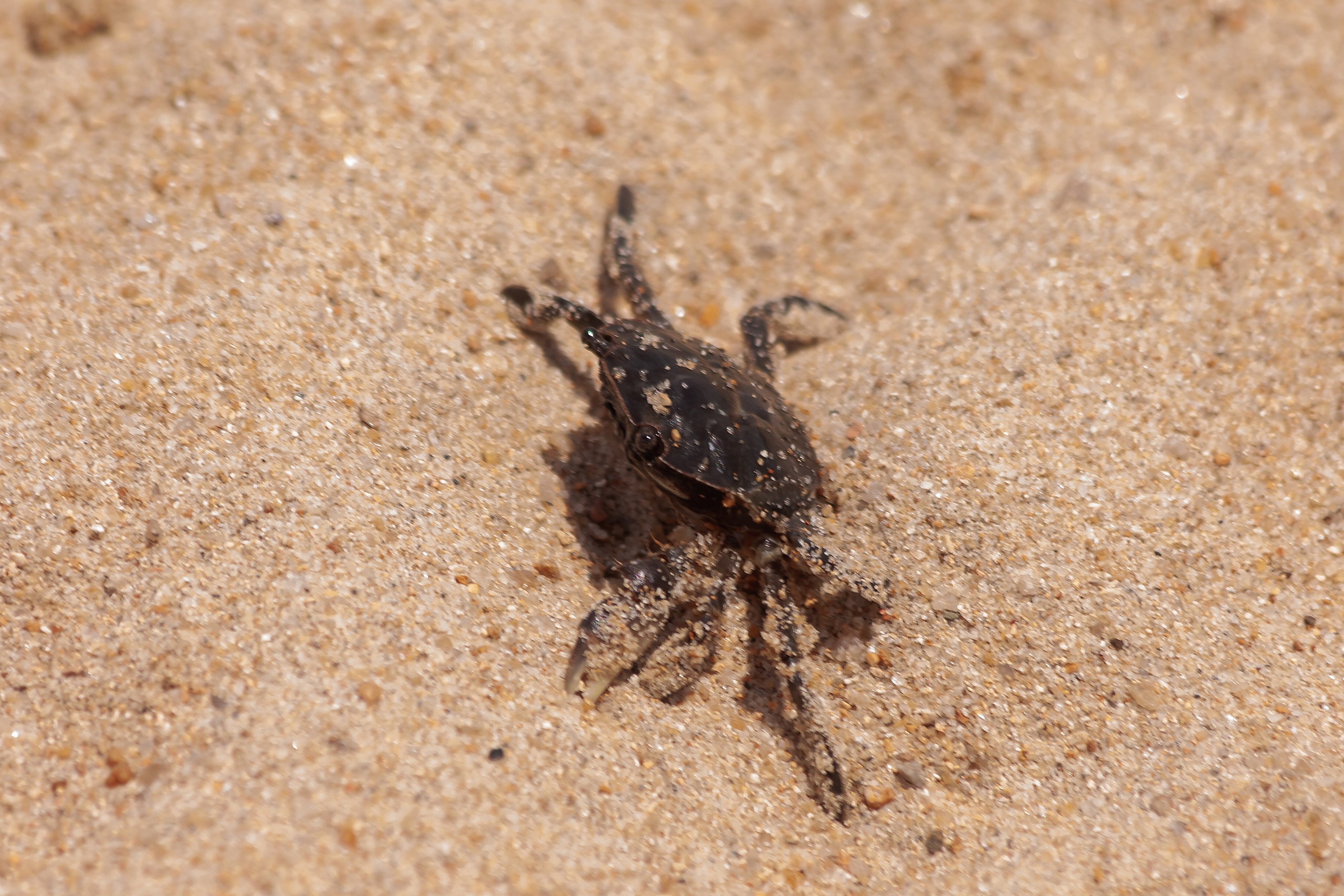 ВЬЕТНАМ 2023 / VIEtTNAM 2024. Главная