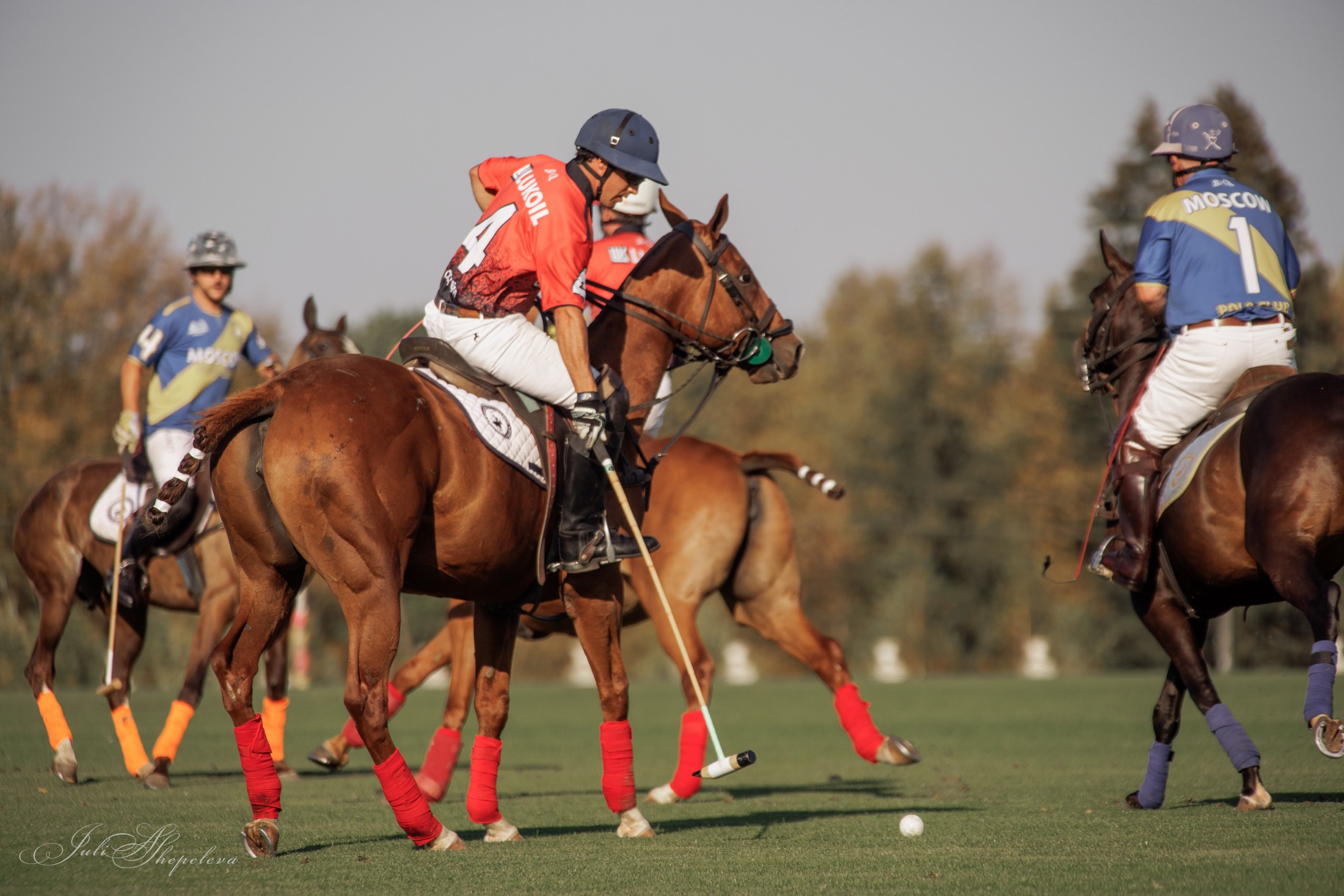 Осенний кубок по конному поло. Детская Конная фотография в Москве Юлия Шепелева