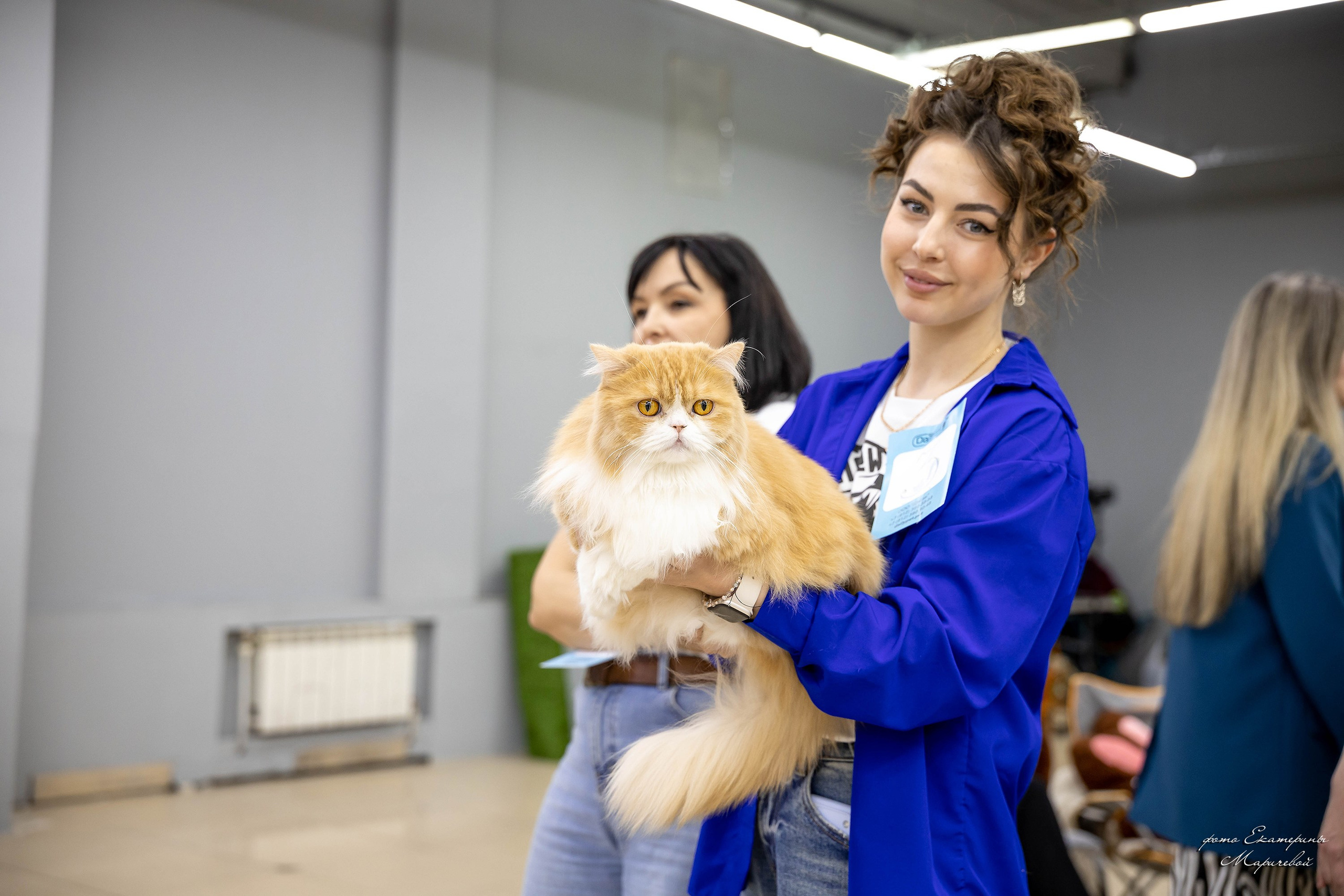 11–12 апреля — Интершоу — «Звездная Галактика Доброго Кота». Работаю со стендом. Фотограф-анималист в Омске Екатерина Маричева