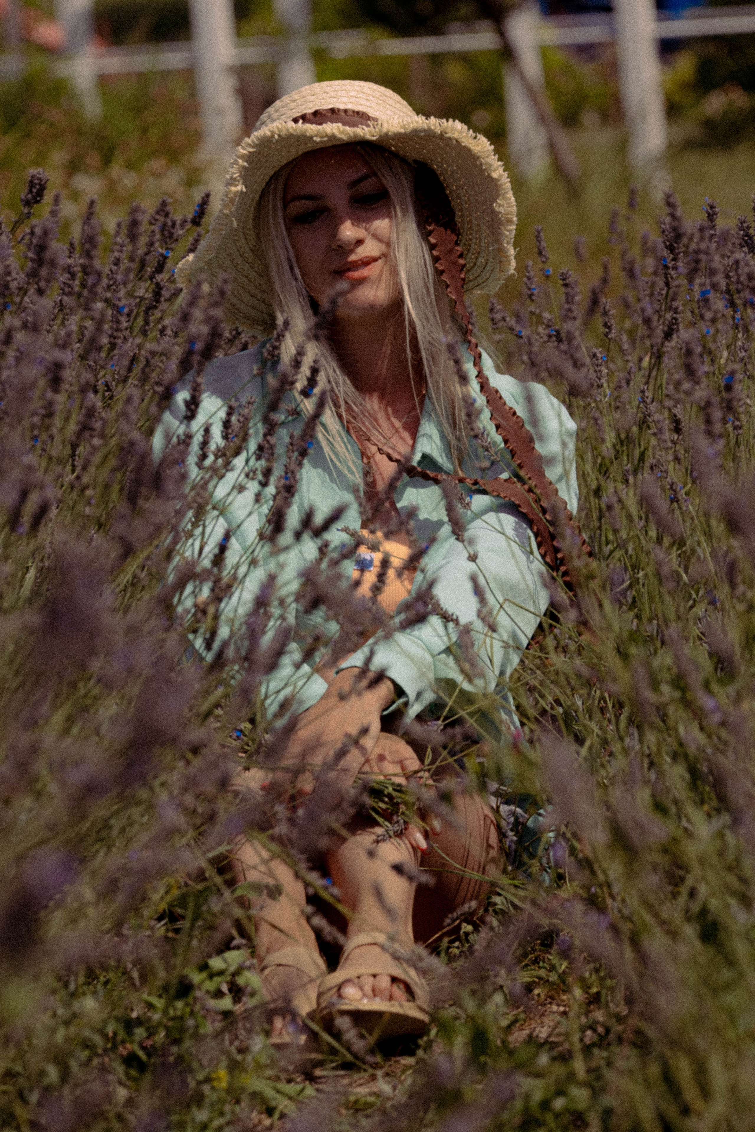 ЛАВАНВОДОВОЕ ПОЛЕ. Профессиональный фотограф, Санкт-Петербург — Виктория Богомолова