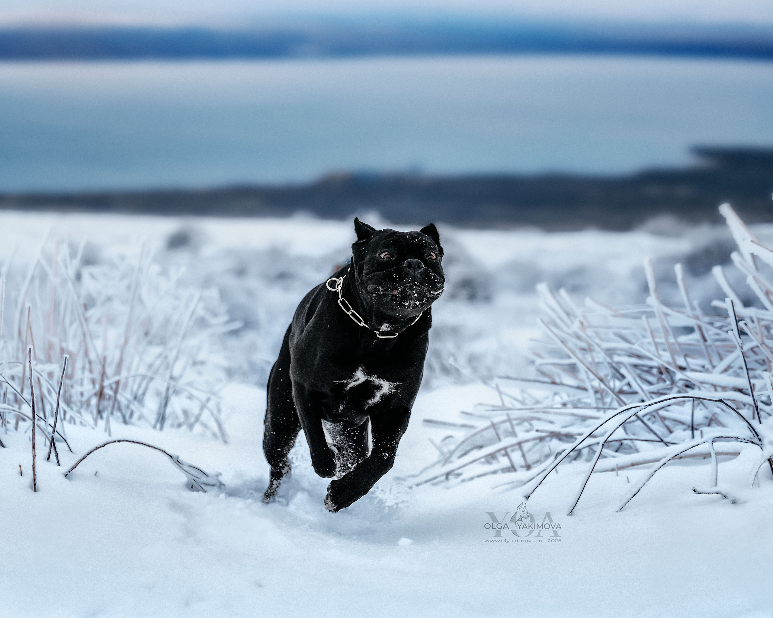 МАРИНА И САРА. Фотограф