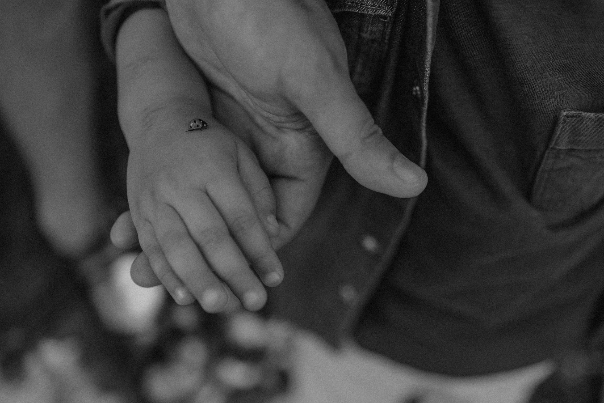 В Донском лесу. Семейный лайфстайл фотограф в г. Липецк