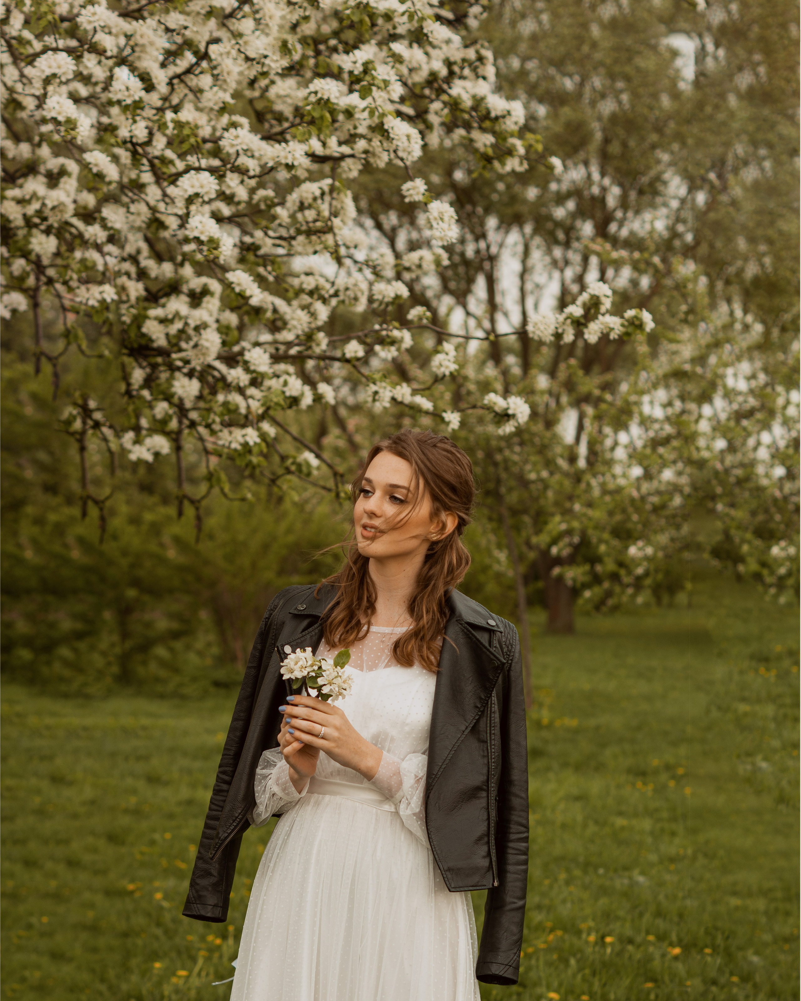 Цветение яблонь и вишни / Свадебная