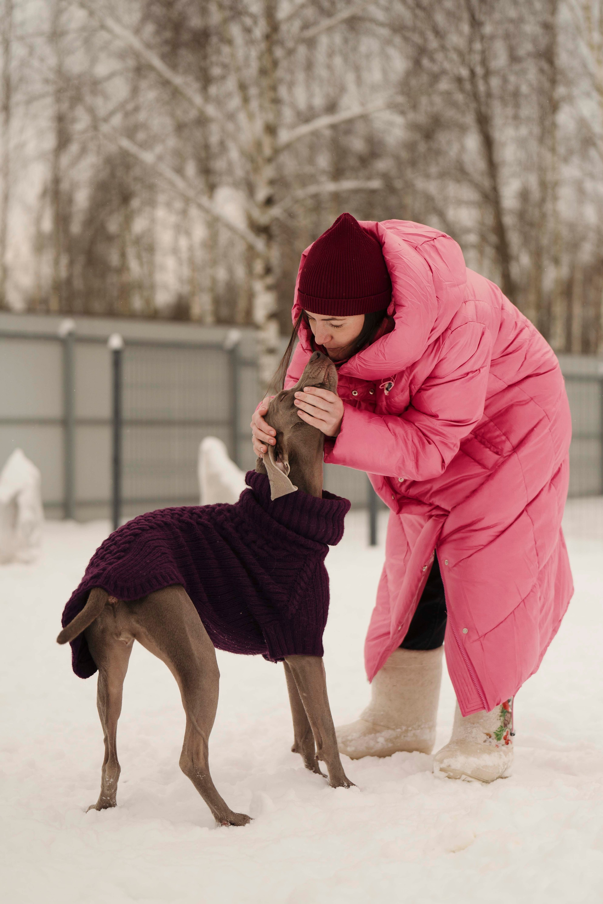 Зоогостиница Мишка. Фотограф- анималист Александра Матвеева