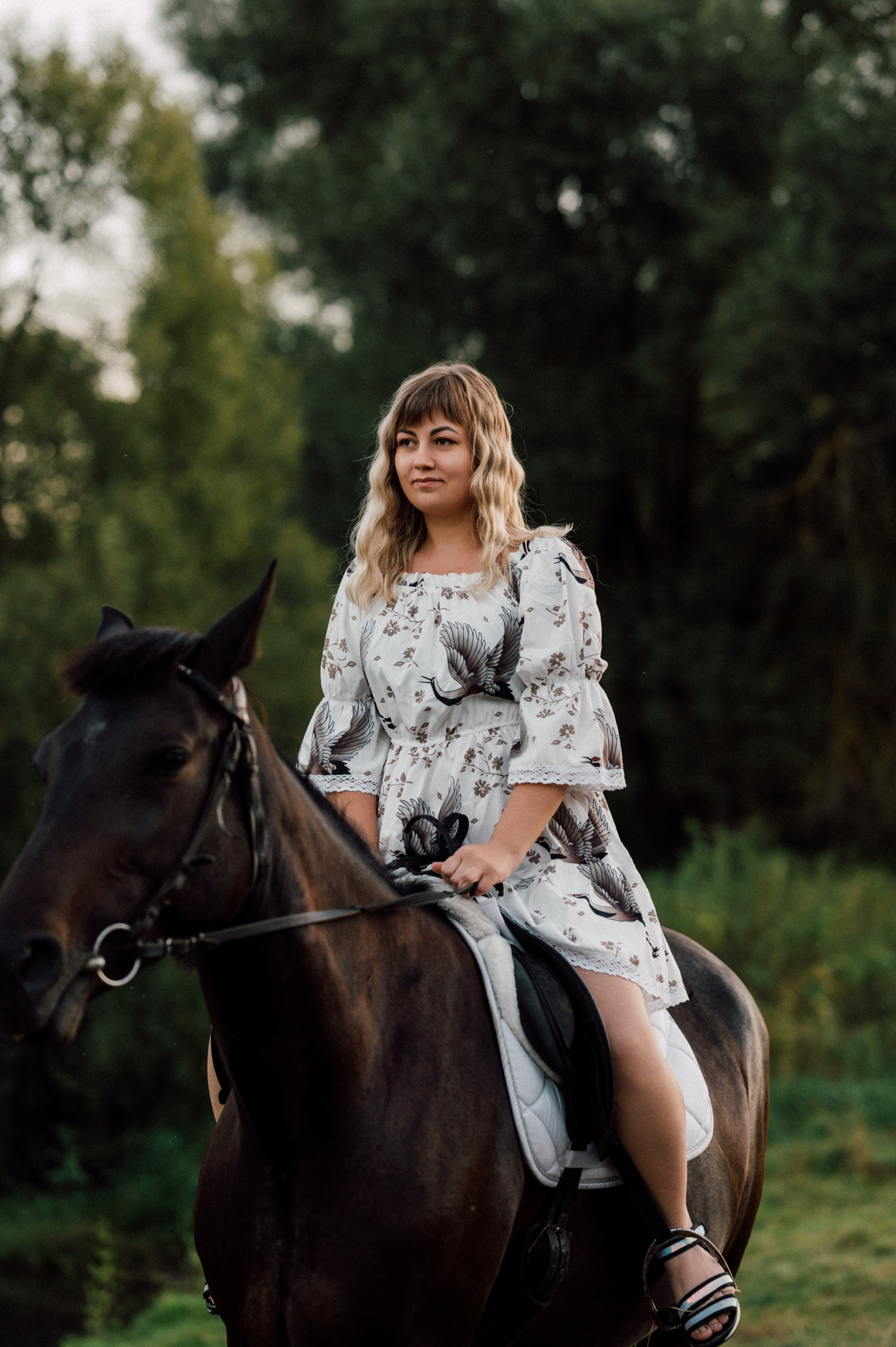 Светлана с лошадкой. Портретный, семейный, свадебный фотограф. Бизнес, контент съёмка. Тула